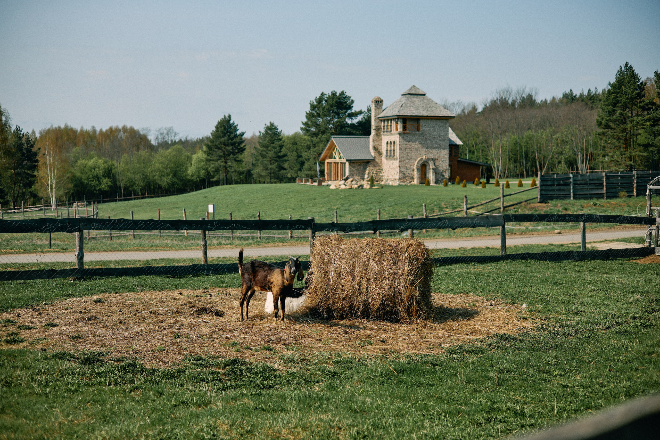 Бутик-отель Поле летом. Профессиональный Фотограф во Владимире, в Москве и в Суздале — Полина Романычева