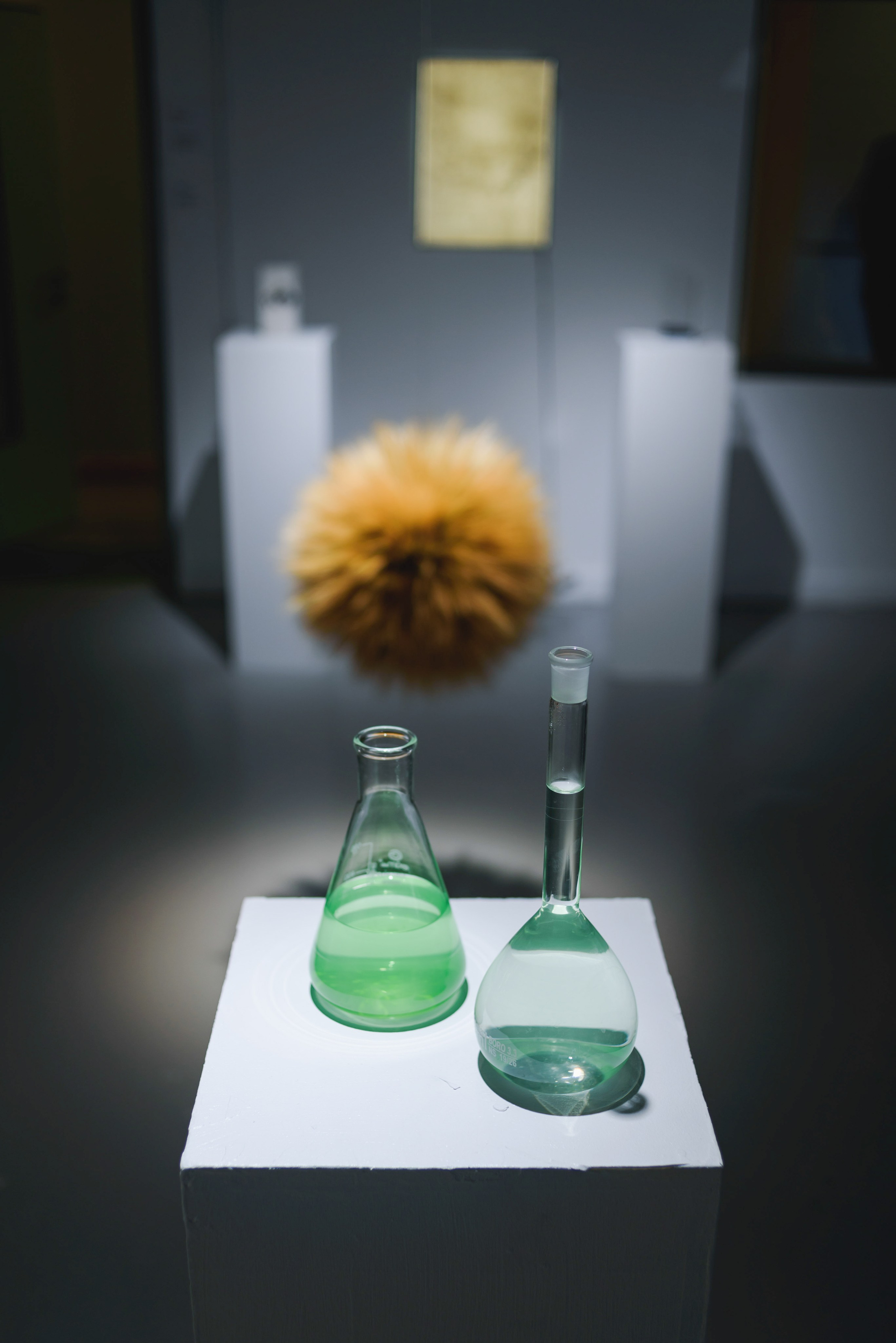 Выставки. Фотограф Руслан Хафизов