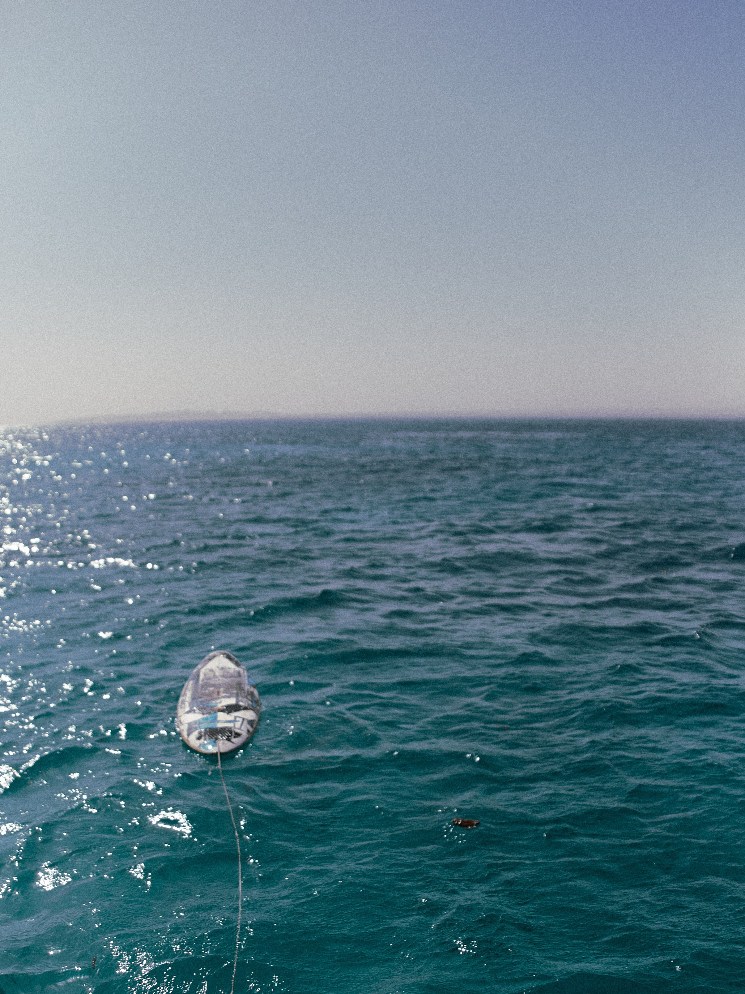 Природа сквозь. Jorgis Talè — photographer, kind person, teacher of arts and other mag