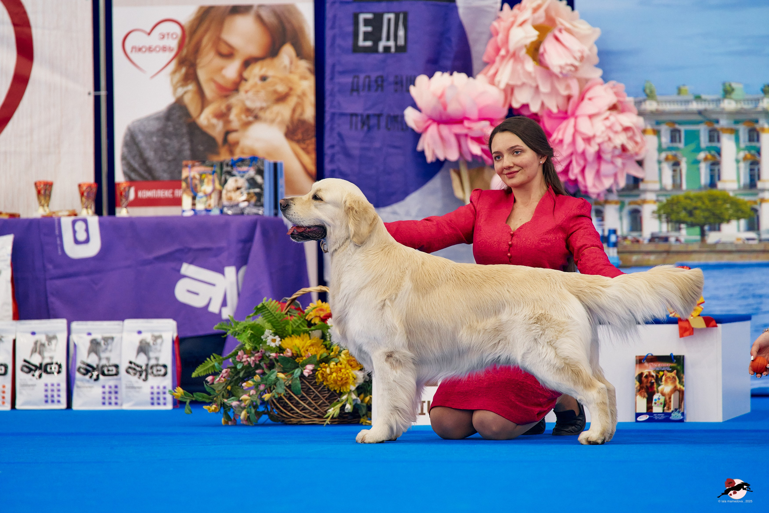 27.04.2025 | "Петербург-Элита 2025" & «КУБОК «ЭЛИТЫ»-2025»