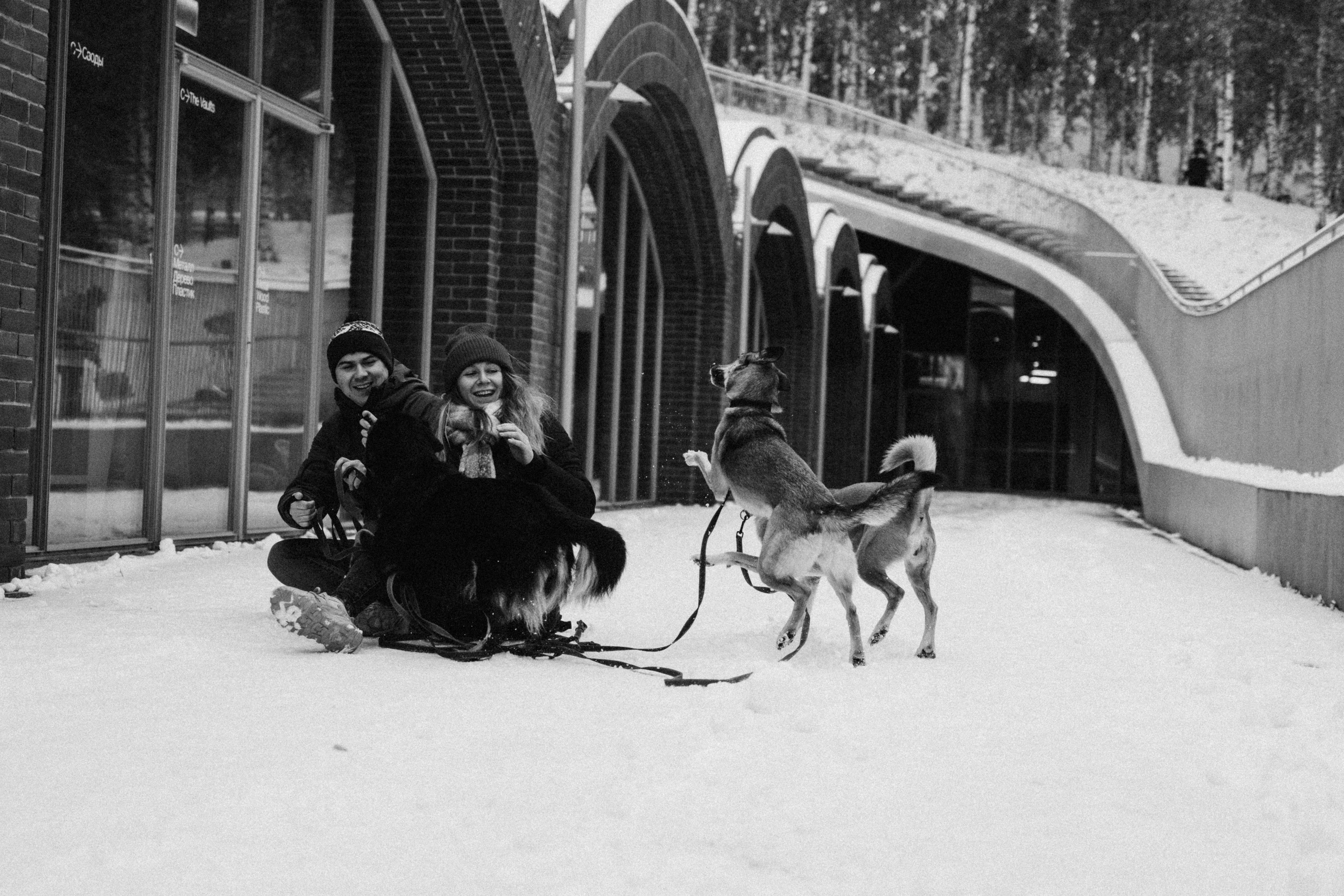 Саша, Ксюша и их банда. Фотораф — анималист Мария Шистка