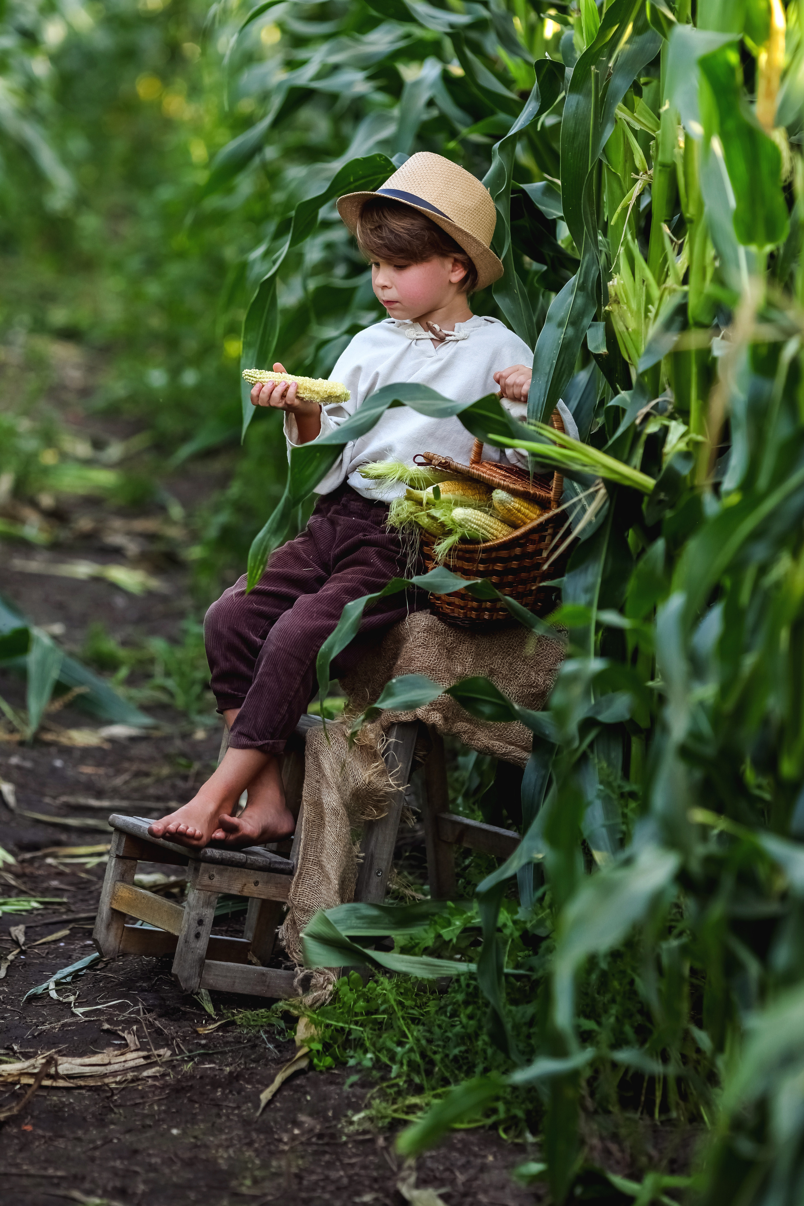 Фото-проект " Кукуруза». Детский и семейный фотограф в Санкт-Петербурге и области Никова Вика