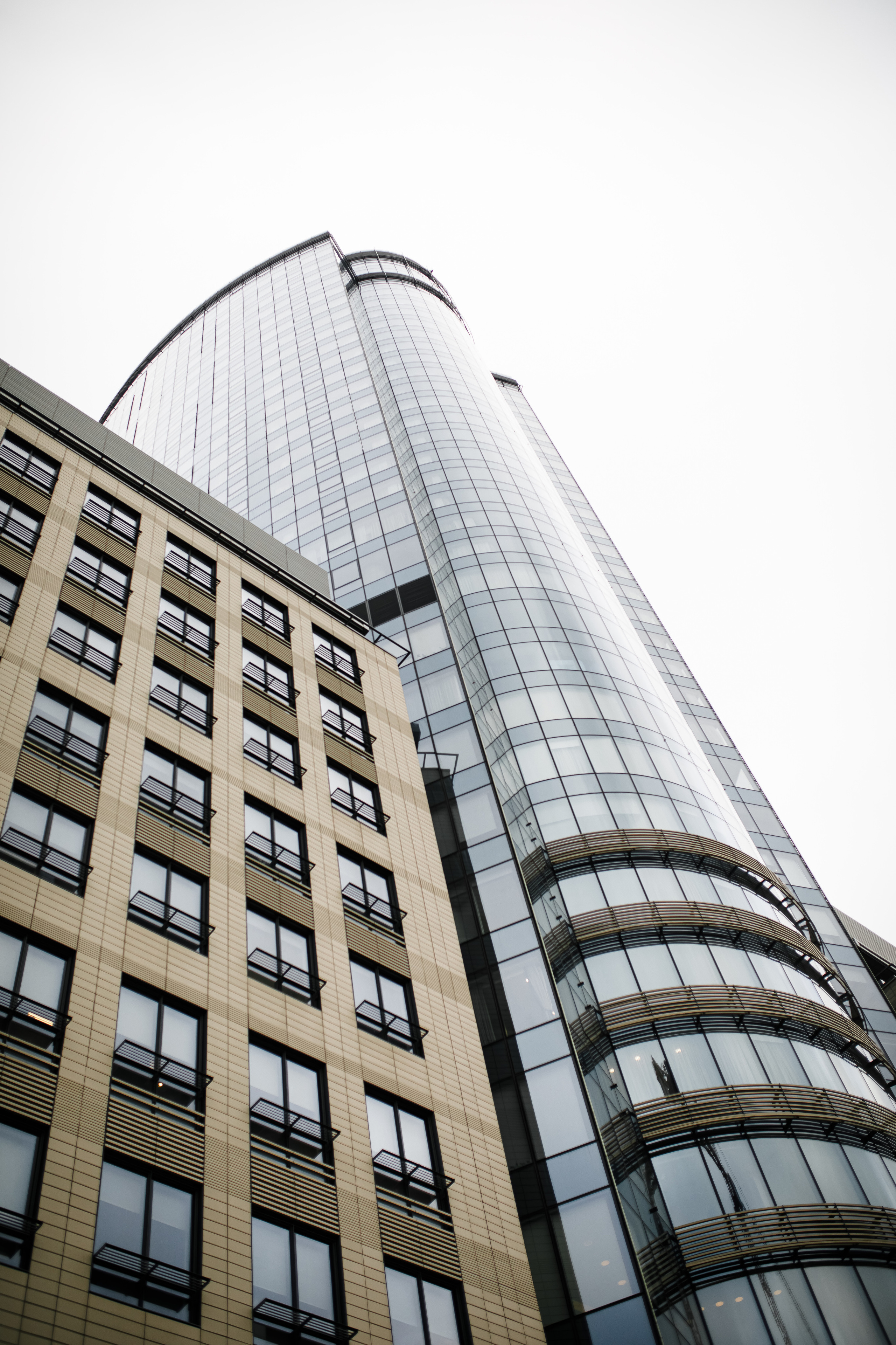 Наталья и Илья|Radisson blu. Свадебный фотограф Серпухов — Москва Ольга Васильева