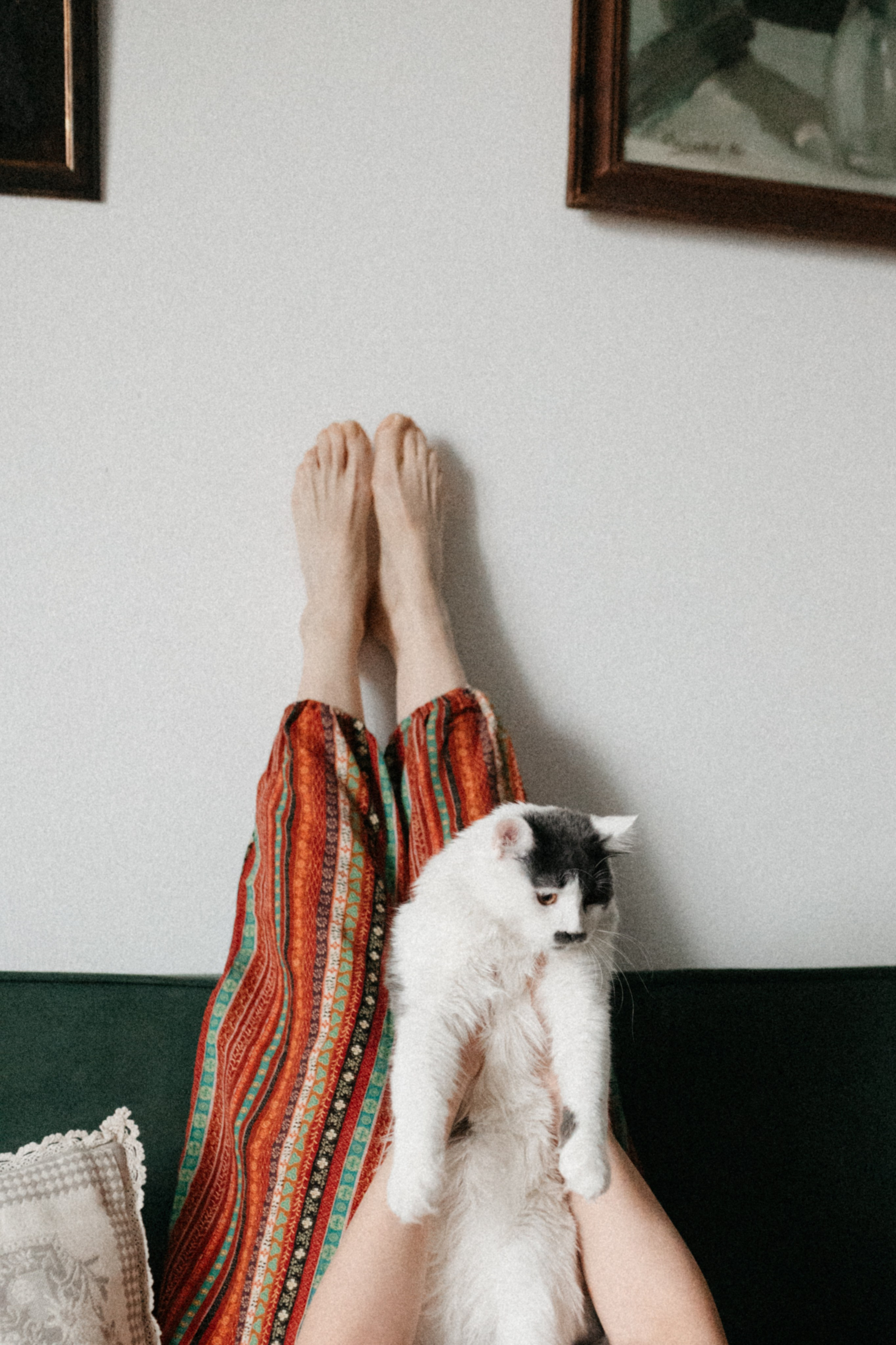 Оля и её меховая банда. Фотограф анималист в Москве Ольга Агушева