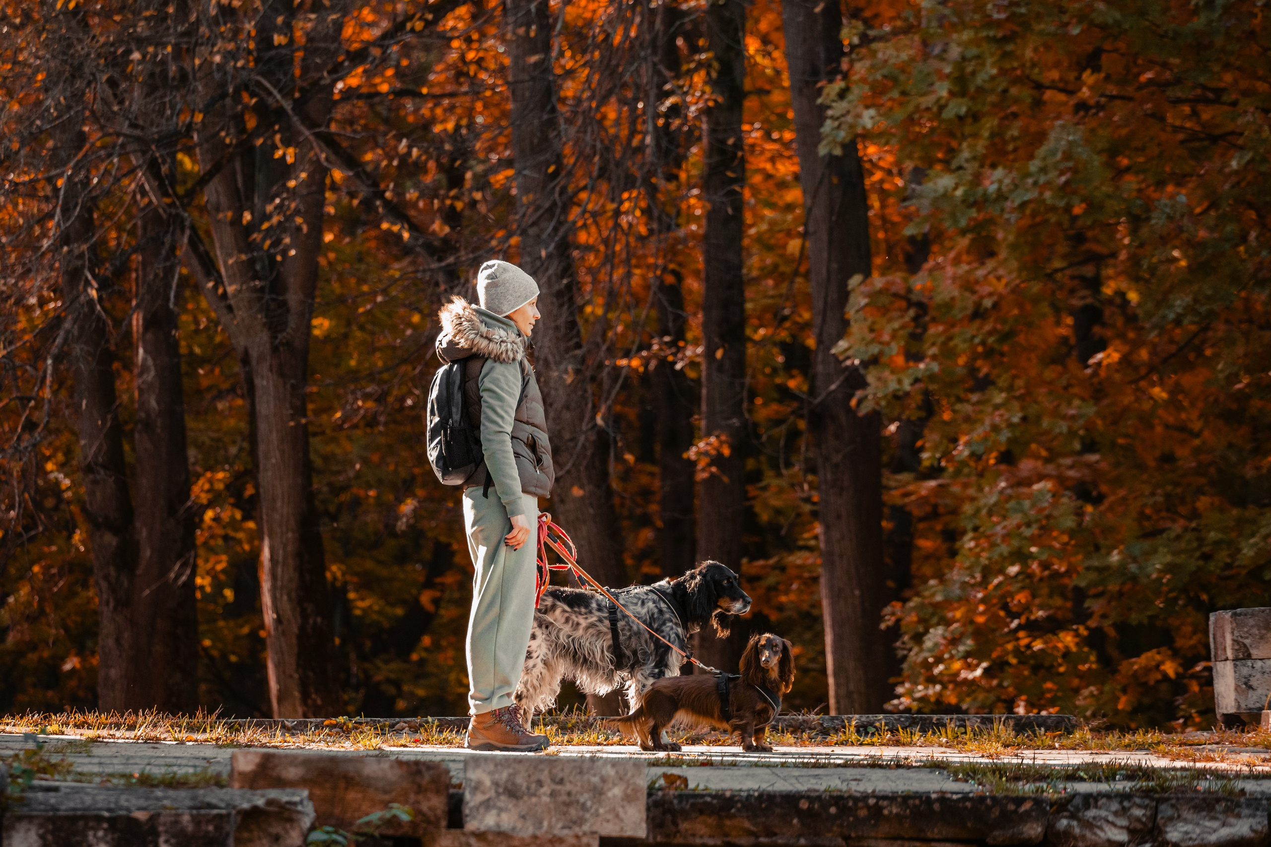 Света, Хайди, Богдана. Фотограф-анималист Татьяна Степанова