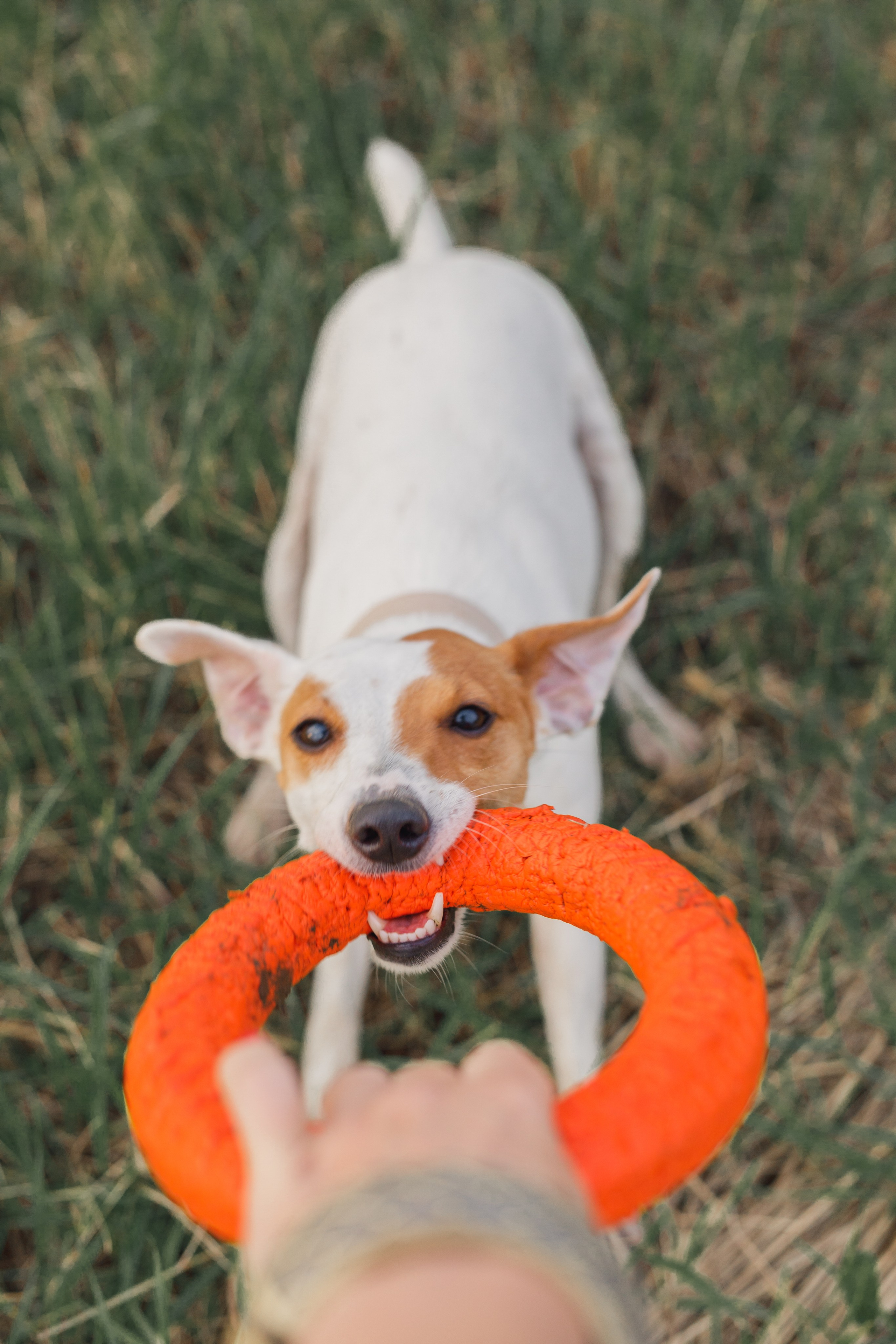 Дорожные приключения. Свадебный и семейный фотограф во Владивостоке Овчинникова Дарья