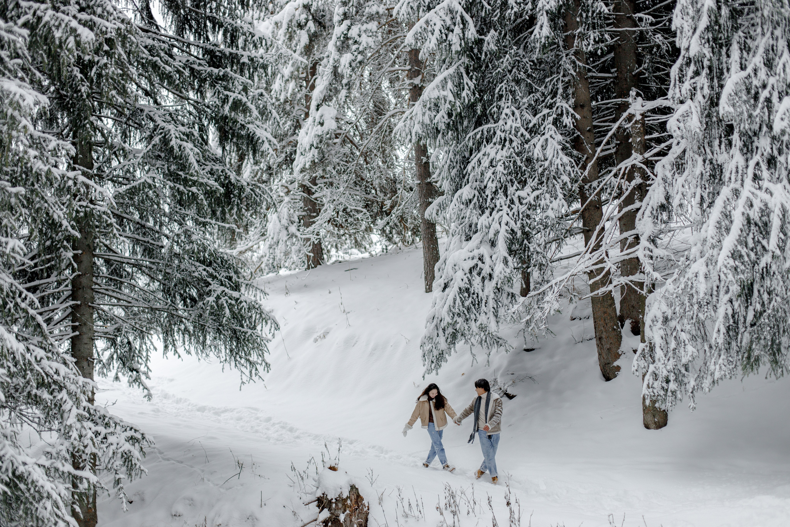 Люби!. ___________________________________________________