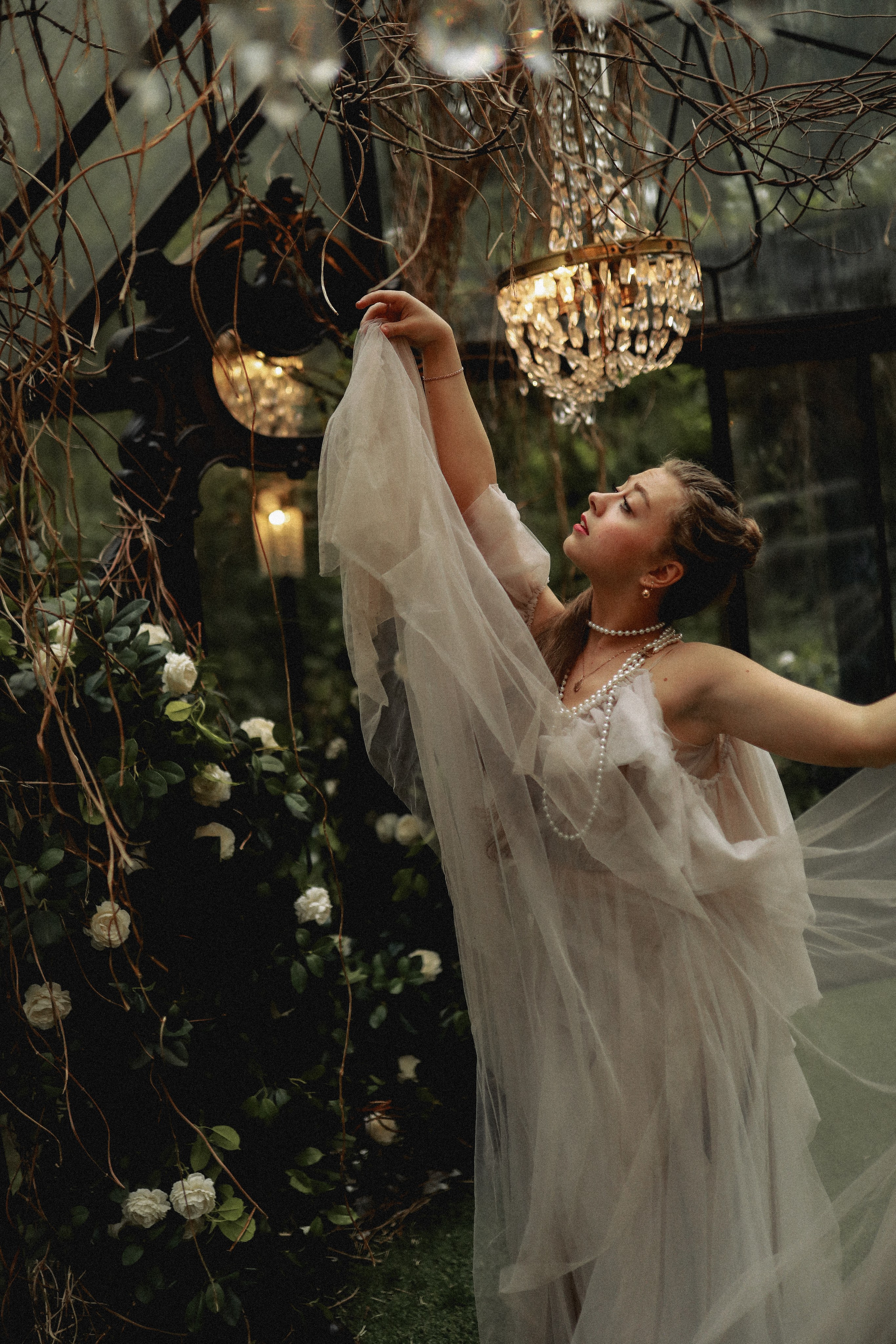 Зачарованный лес