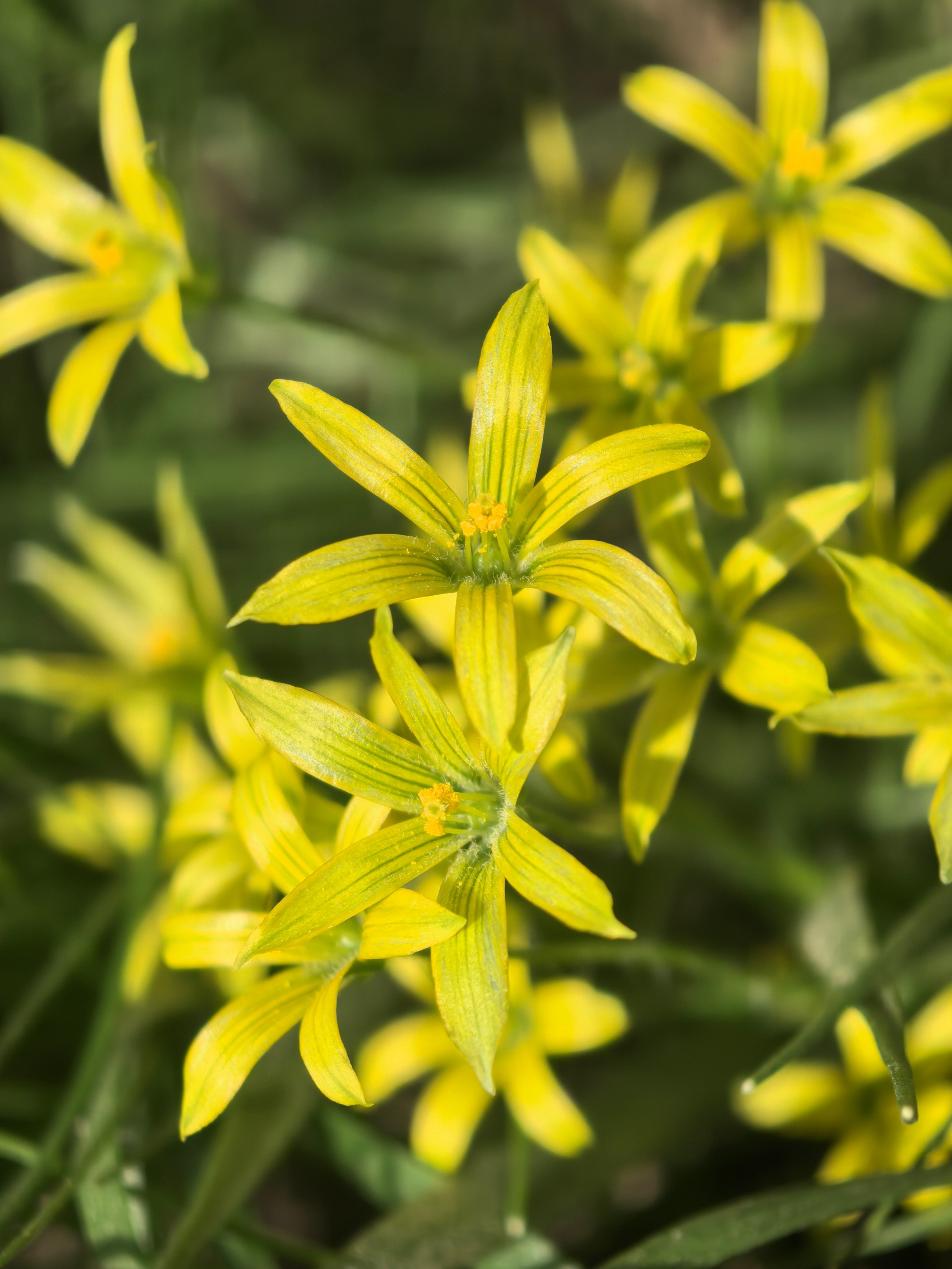 ПочтиМАКРО. Школьные выпускные альбомы в Москве Марина Николаева