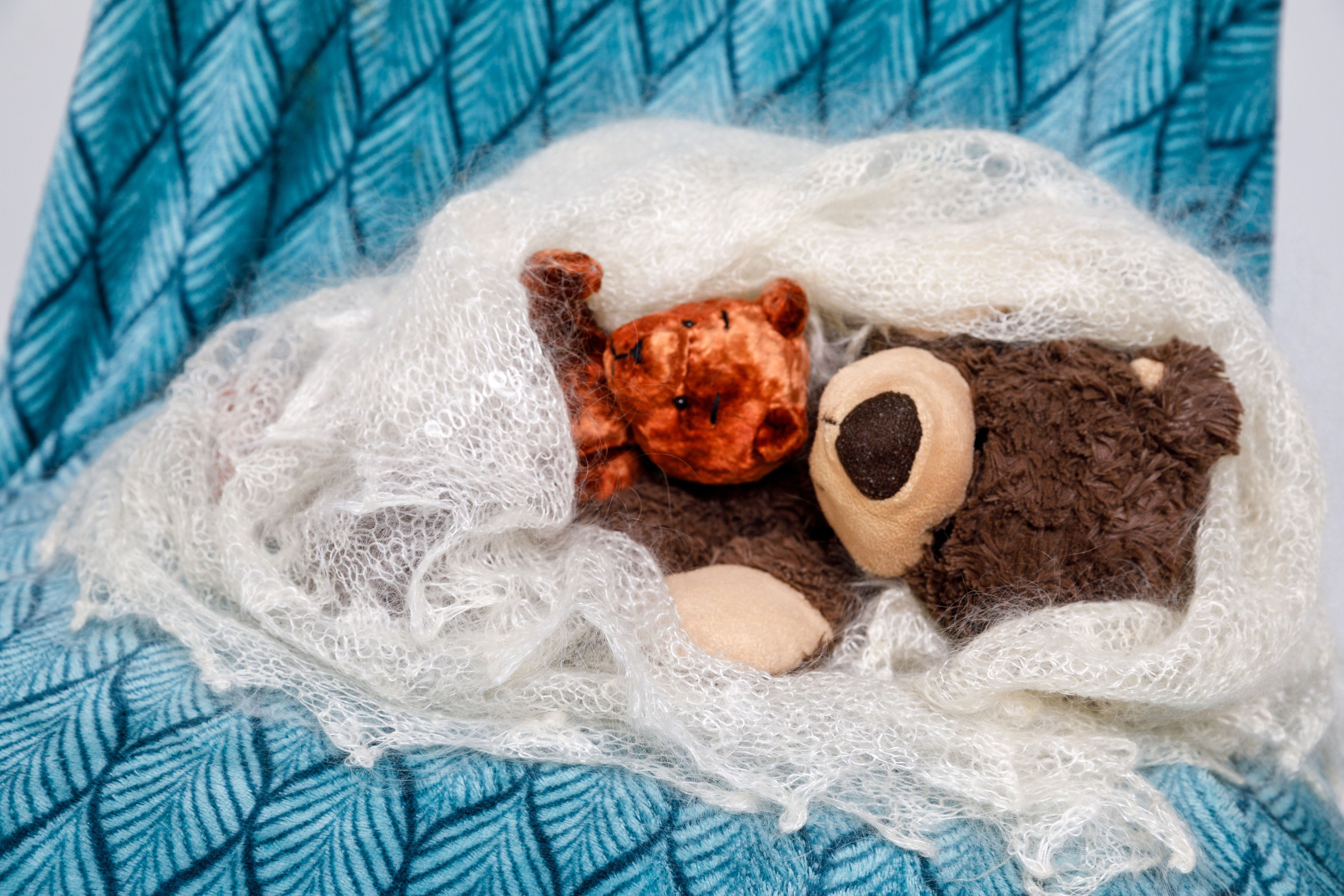 Это не новогодняя фотосессия. Это реклама курсов. Фотограф в Москве Слуцкая Наталья, репортаж, портрет, контент