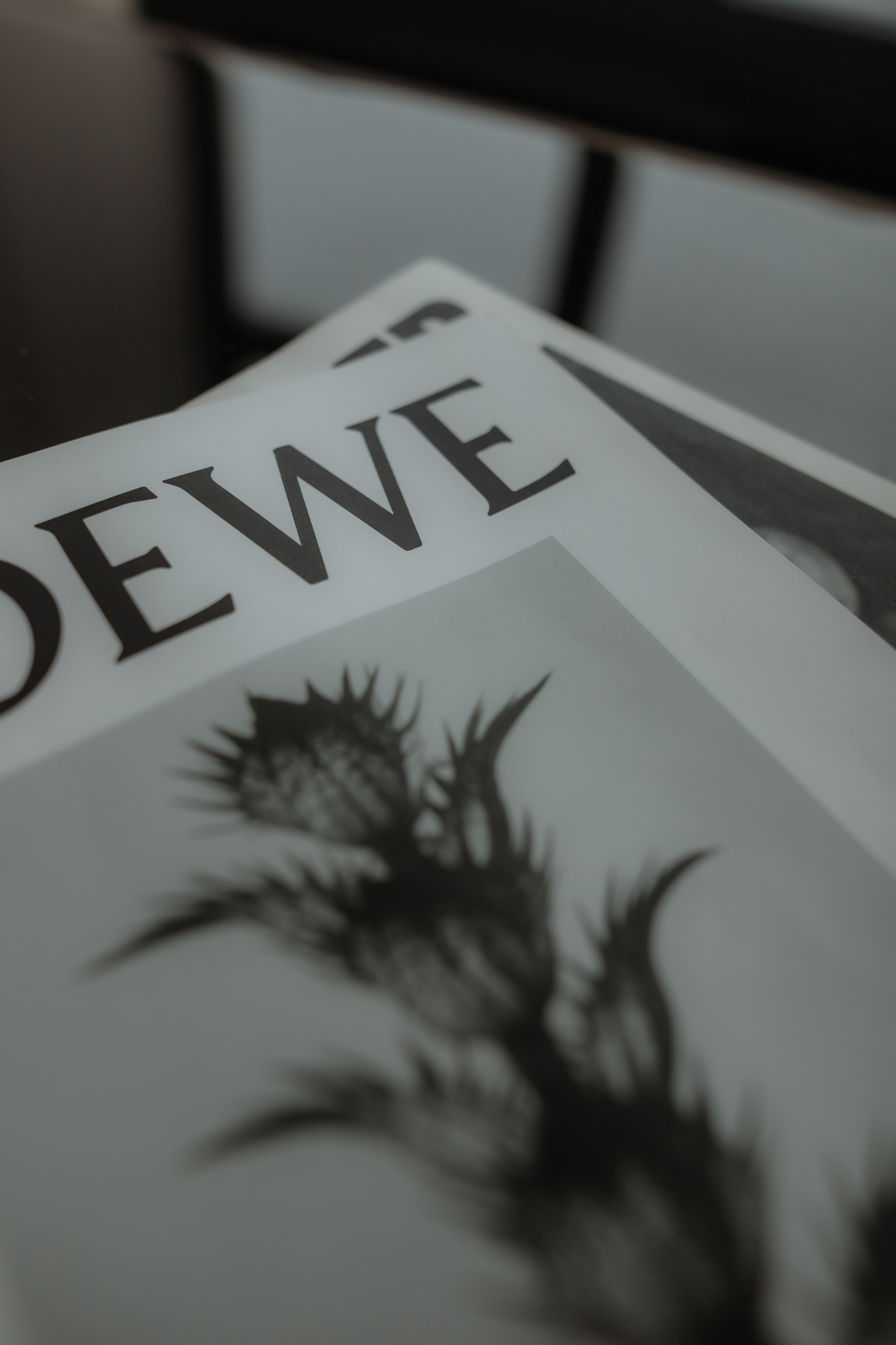 Хилола. Фотограф москва