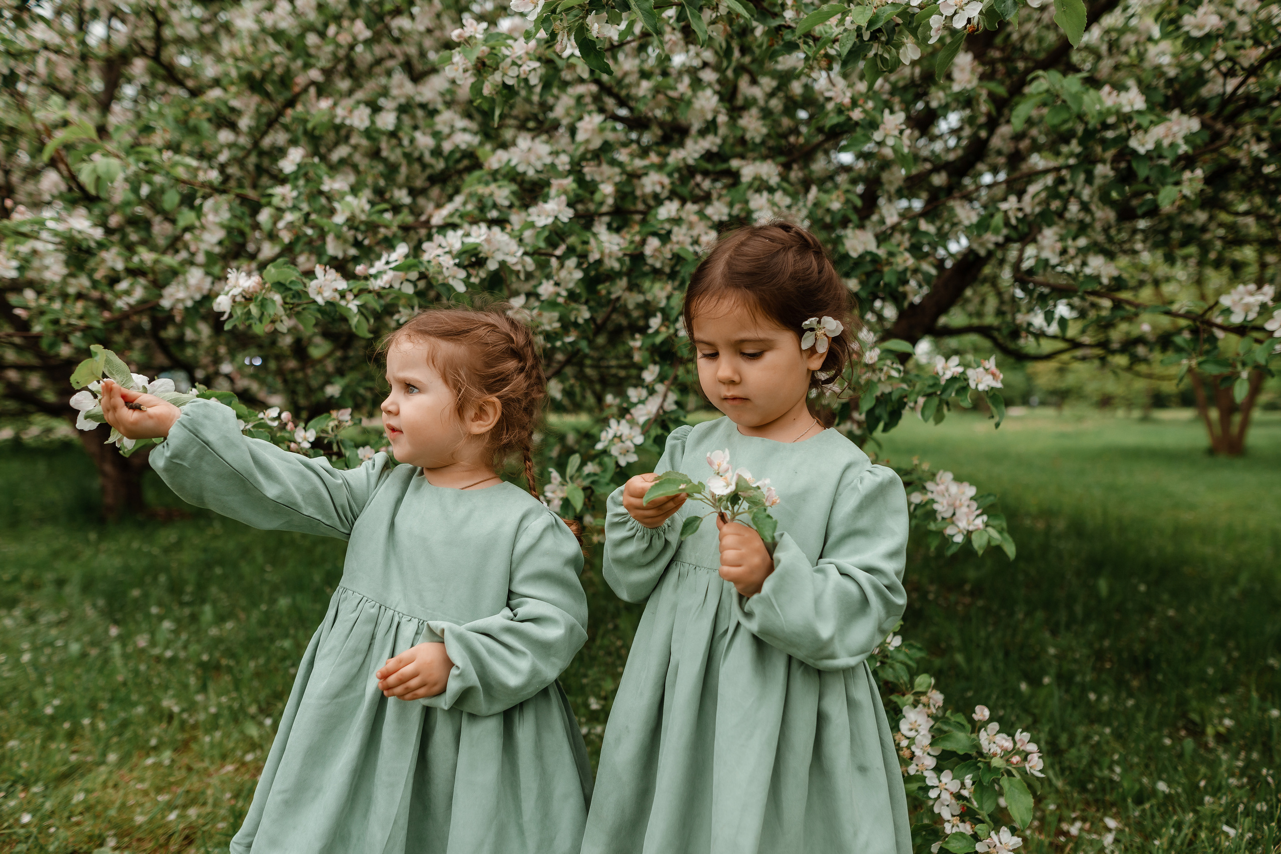 Алёна. Фотограф москва