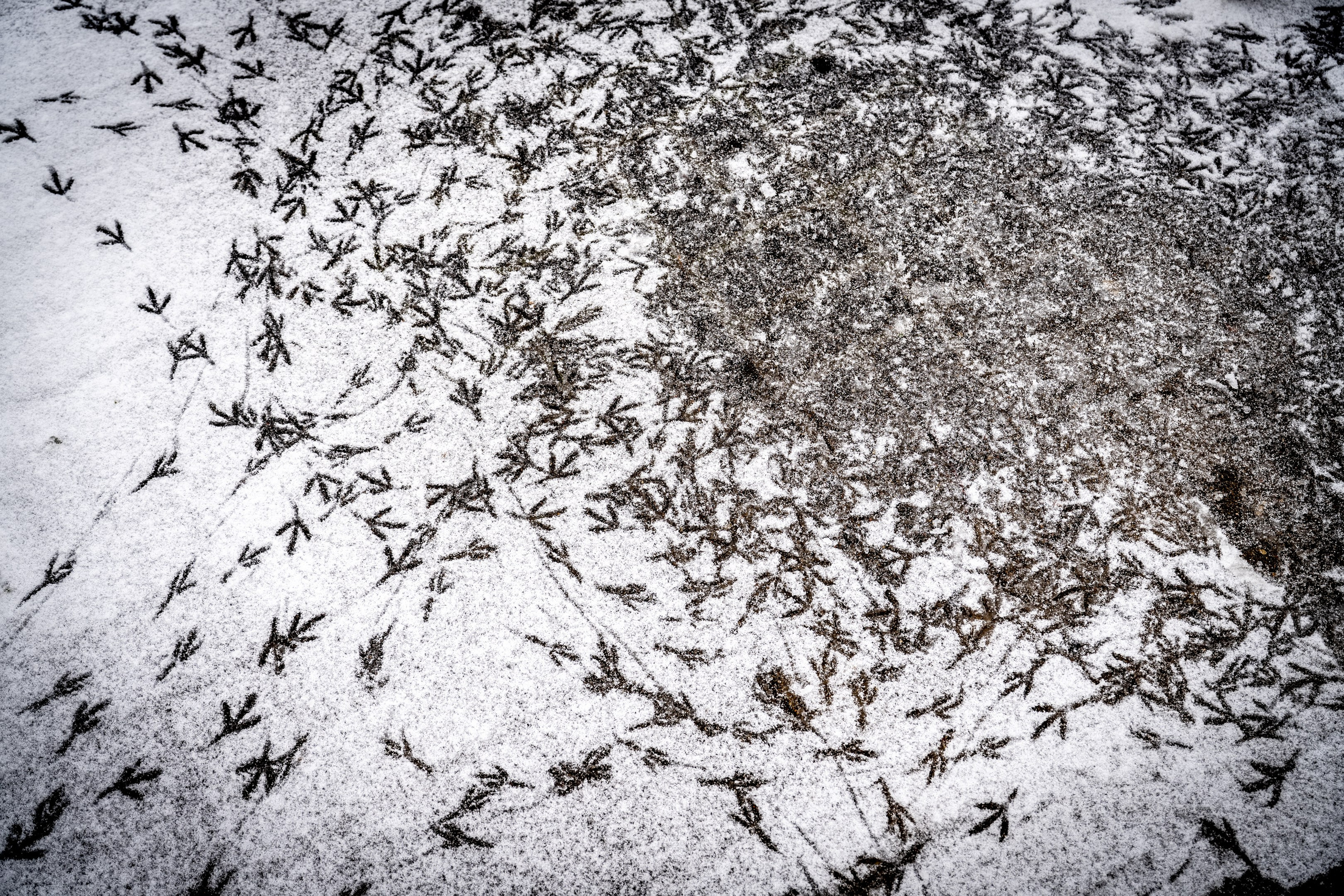 Таруса. ПОБУДЬ ЗДЕСЬ И ЦЕЛЕЕ БУДЕТ ЭТОТ МИР