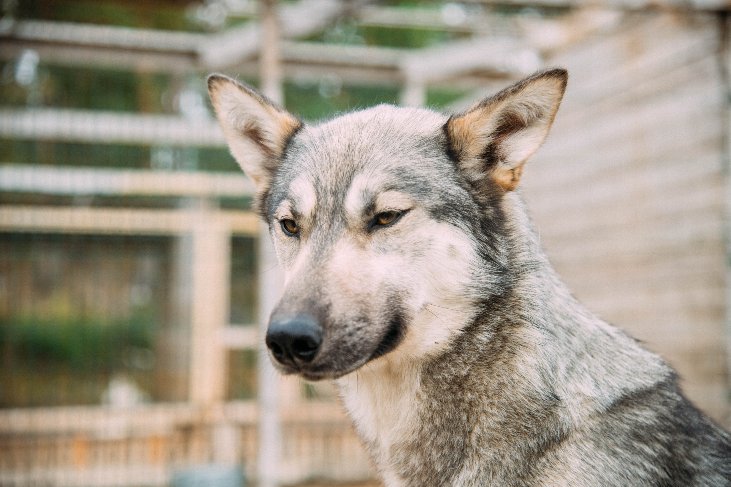 Кольский полуостров. Фотографирую для себя, своей семьи и друзей!