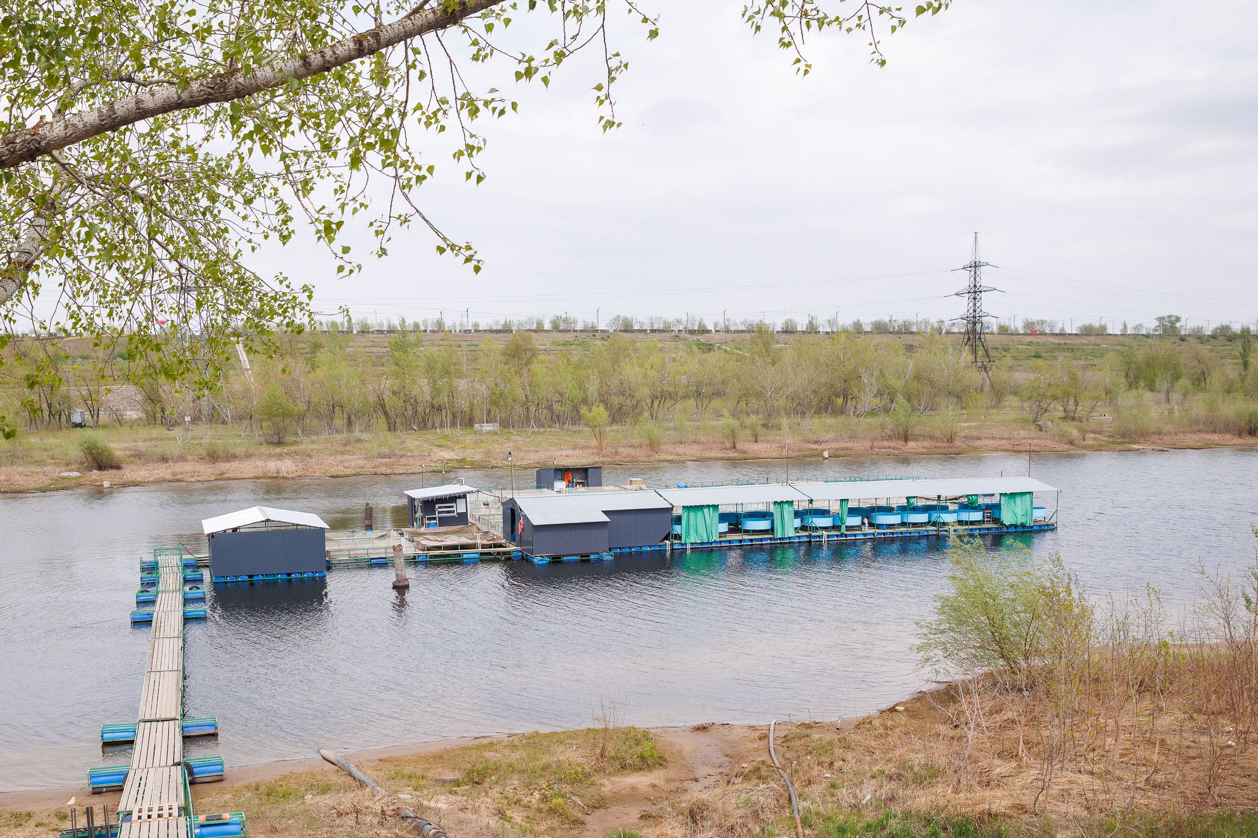 День 2. Конференция. Экскурсия на предприятия + галаужин. Фотограф Шейдаев Эмин г. Волгоград