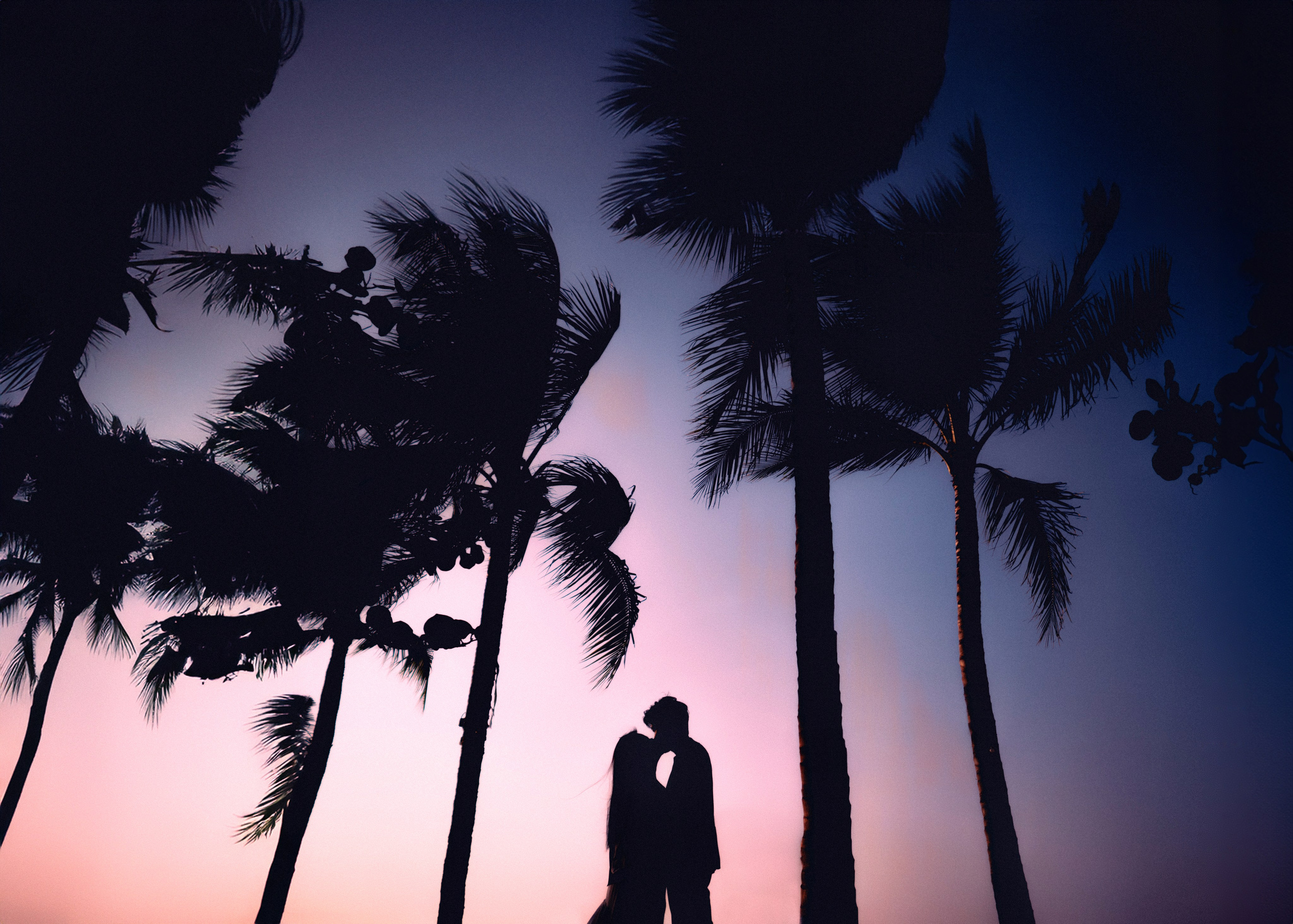 Свадьбы. Фотограф в Нячанге — Данил Прокопенко