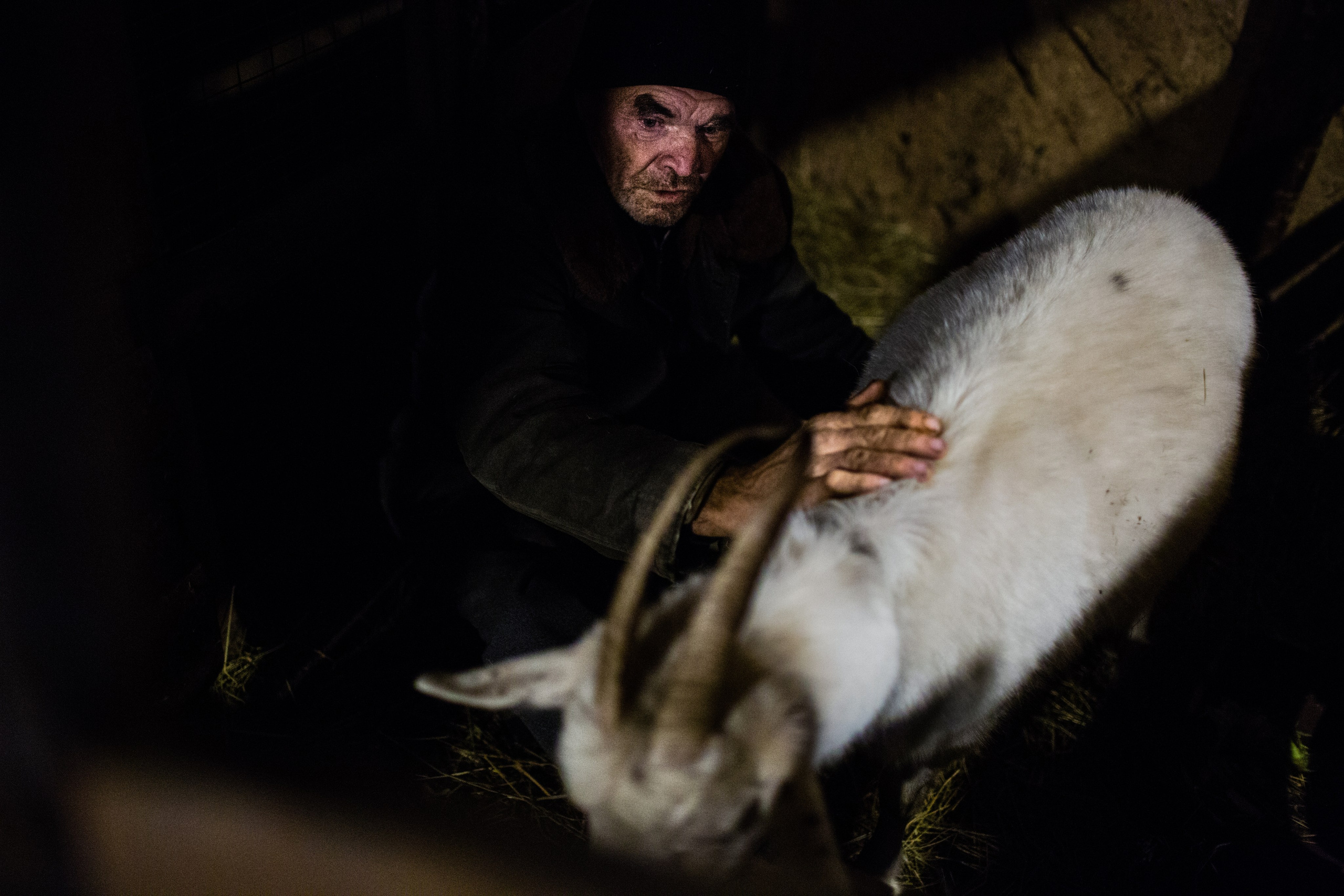 Новая Жизнь. Фотограф Роман Демьяненко
