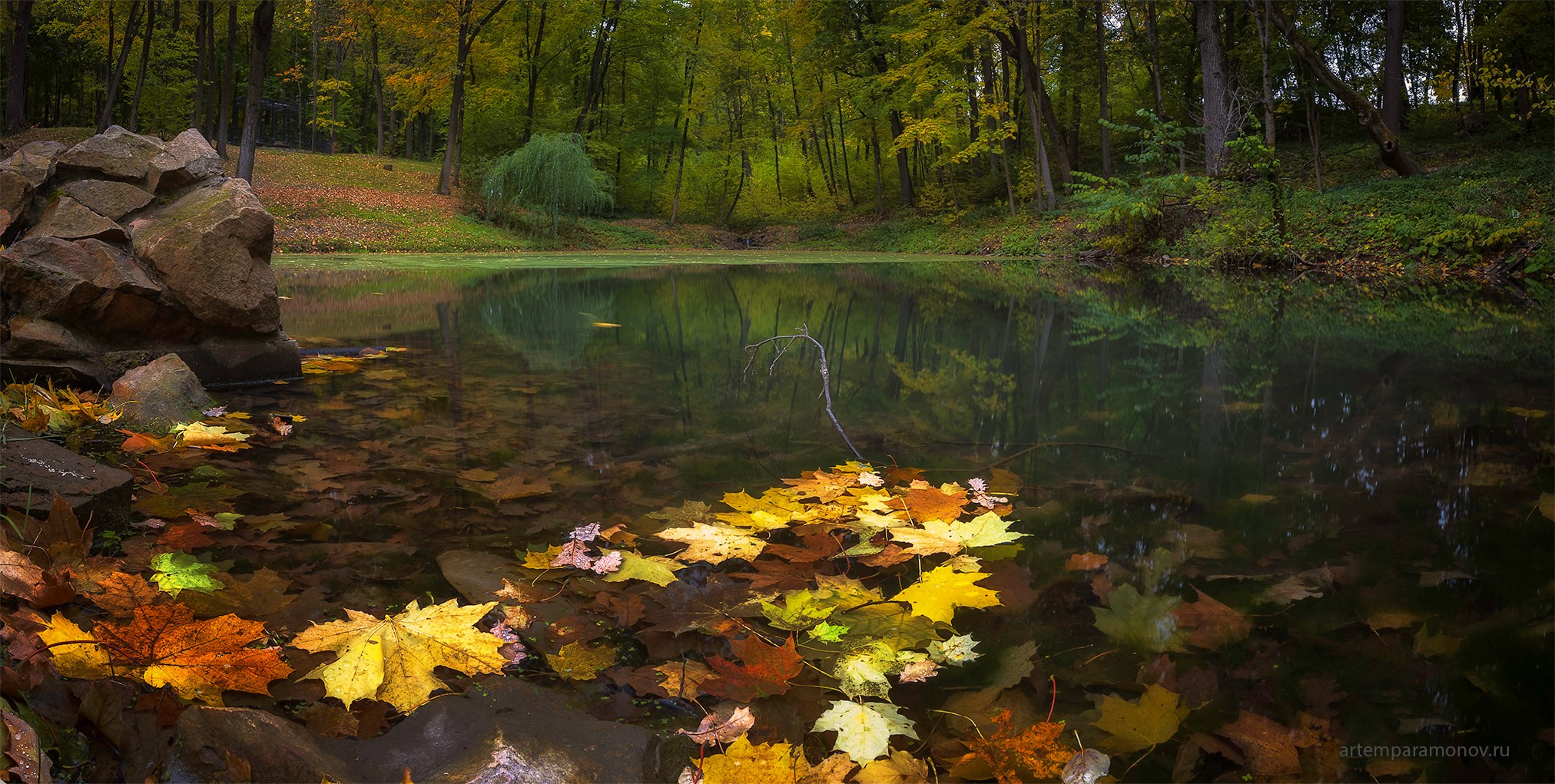 Природа. Фотохудожник Артём Парамонов