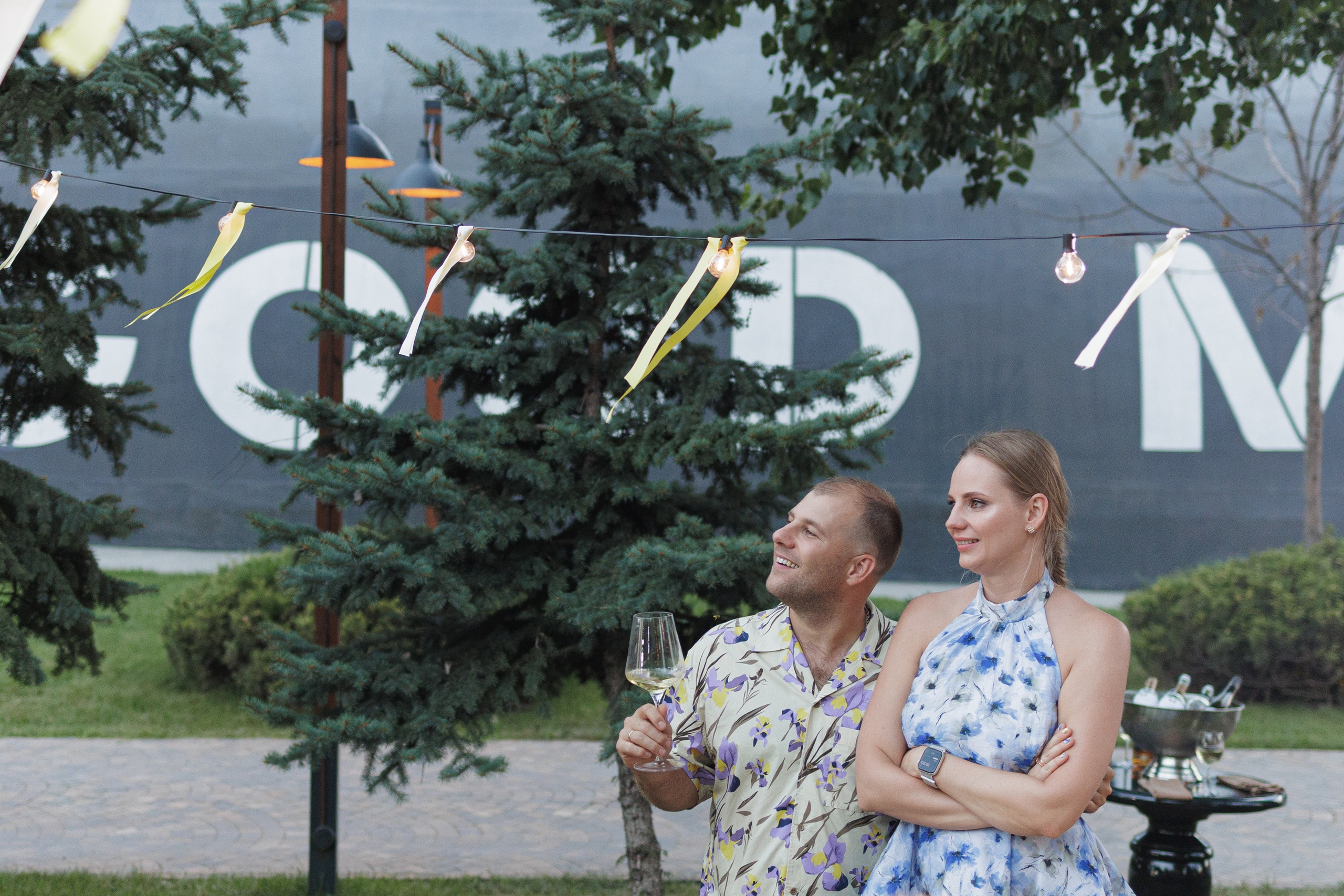 День Рождения. Aleksantis