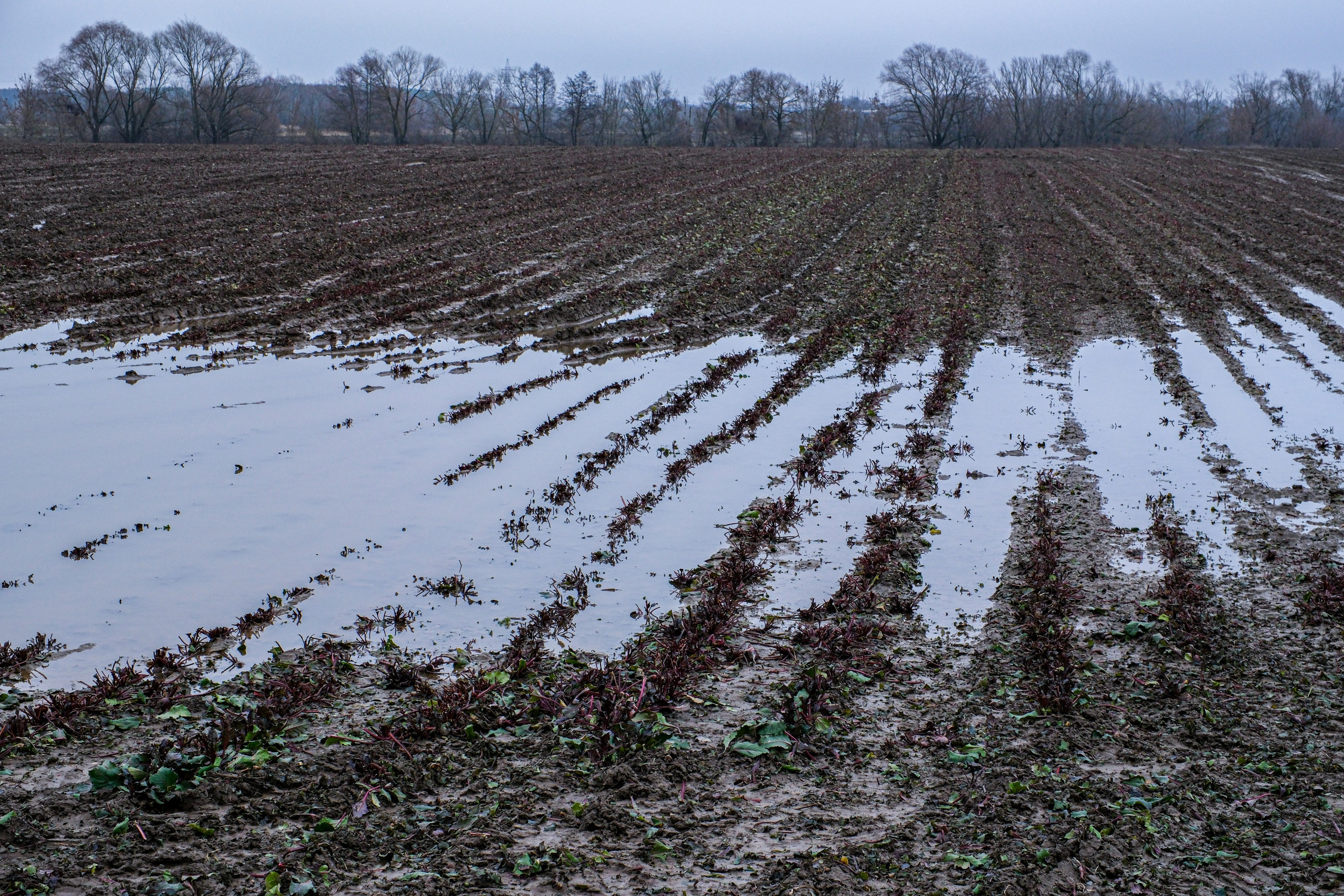 Текстуры. Фотограф в Москве, фотожурналист Александр Малахов