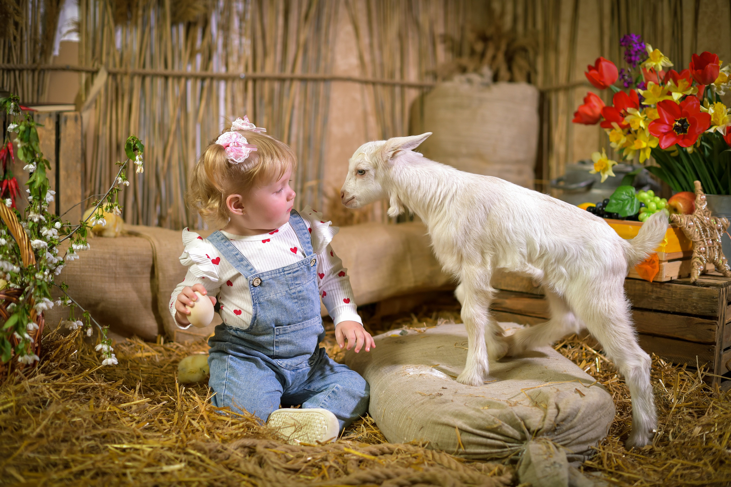 Тематические съемки. Фотостудия МАКС