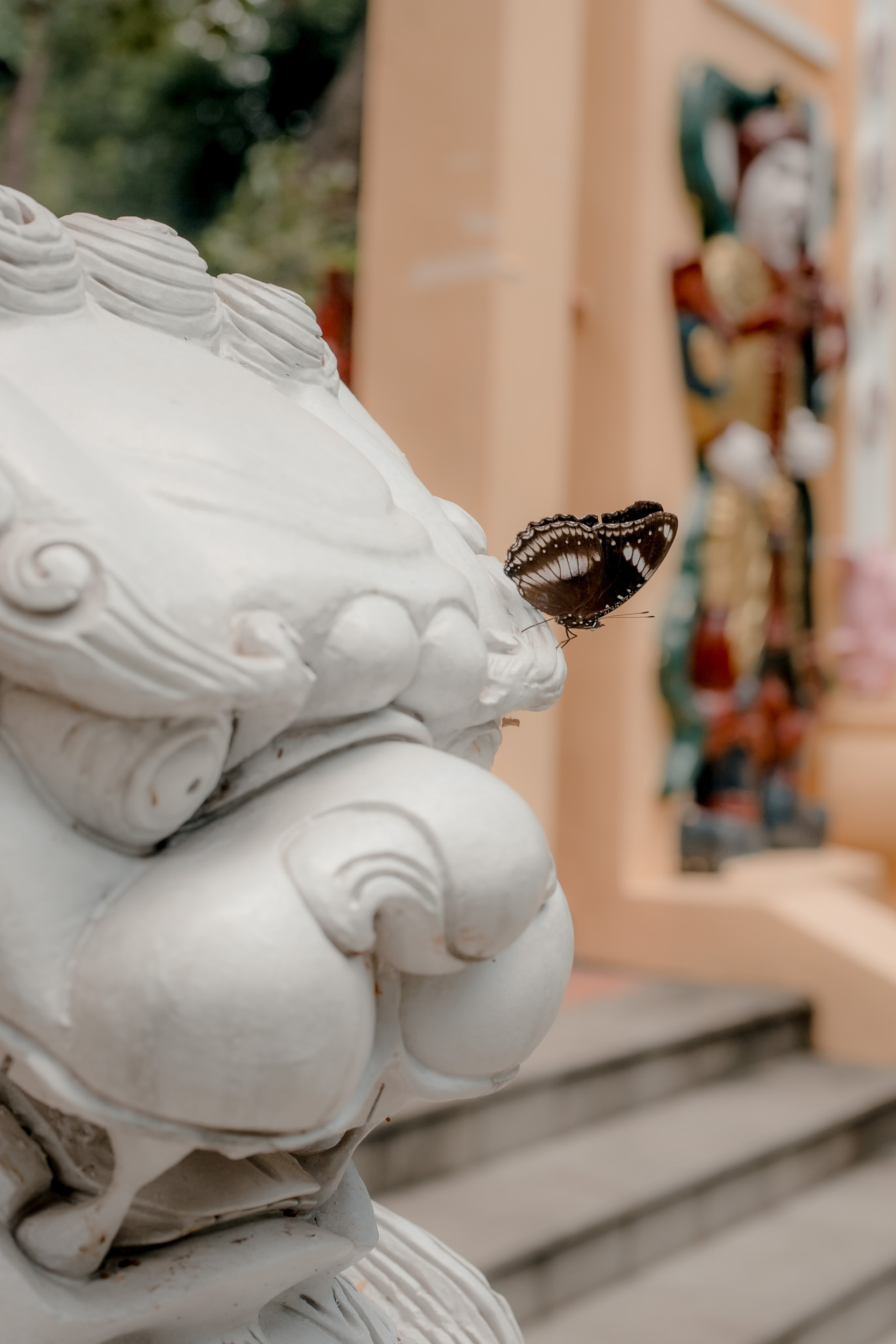 Ho Chi Minh, Vietnam | Part 1| 2025. Art Photographer