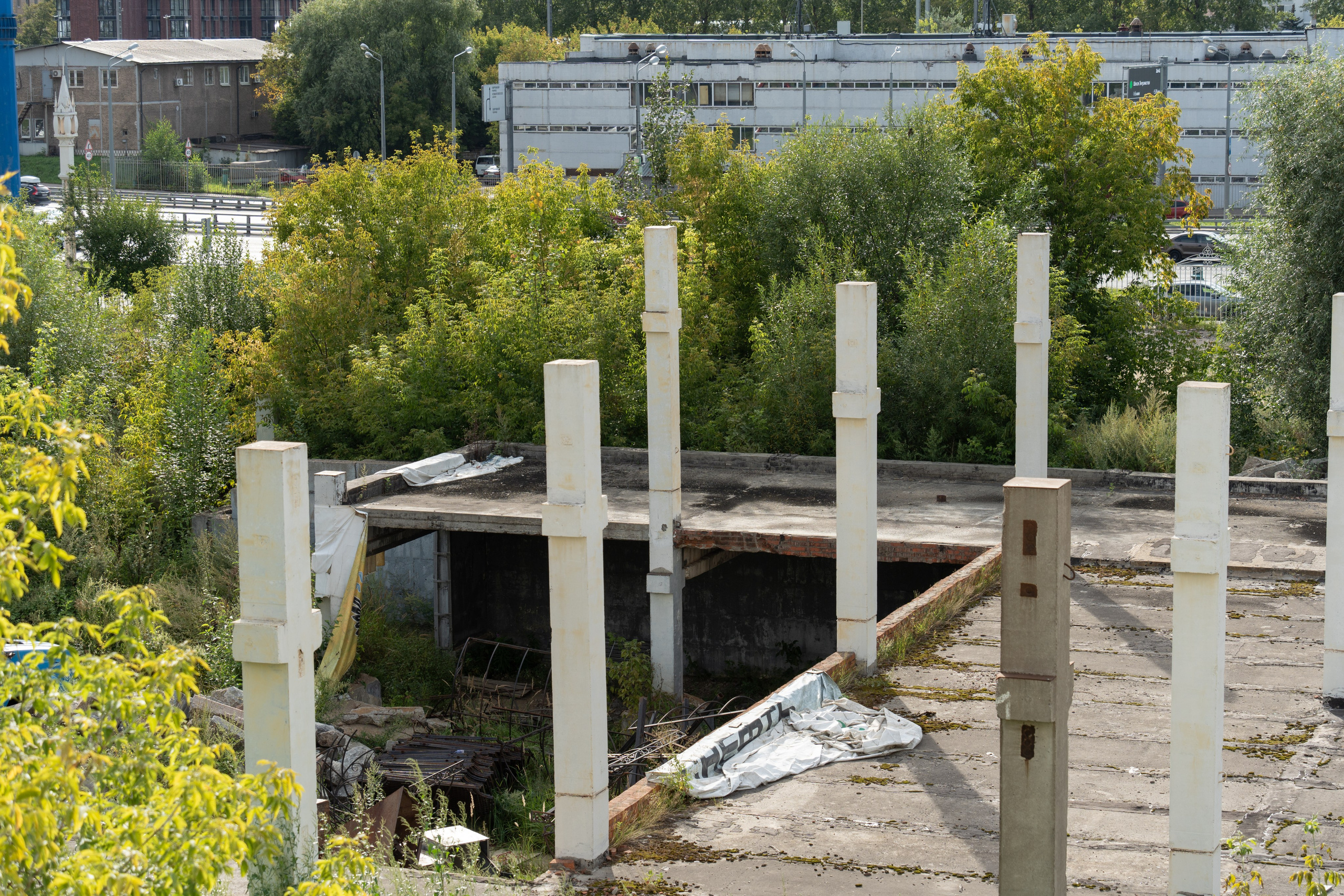 20250817 Измайлово. Дмитрий Ремизов. Фотография, как хобби