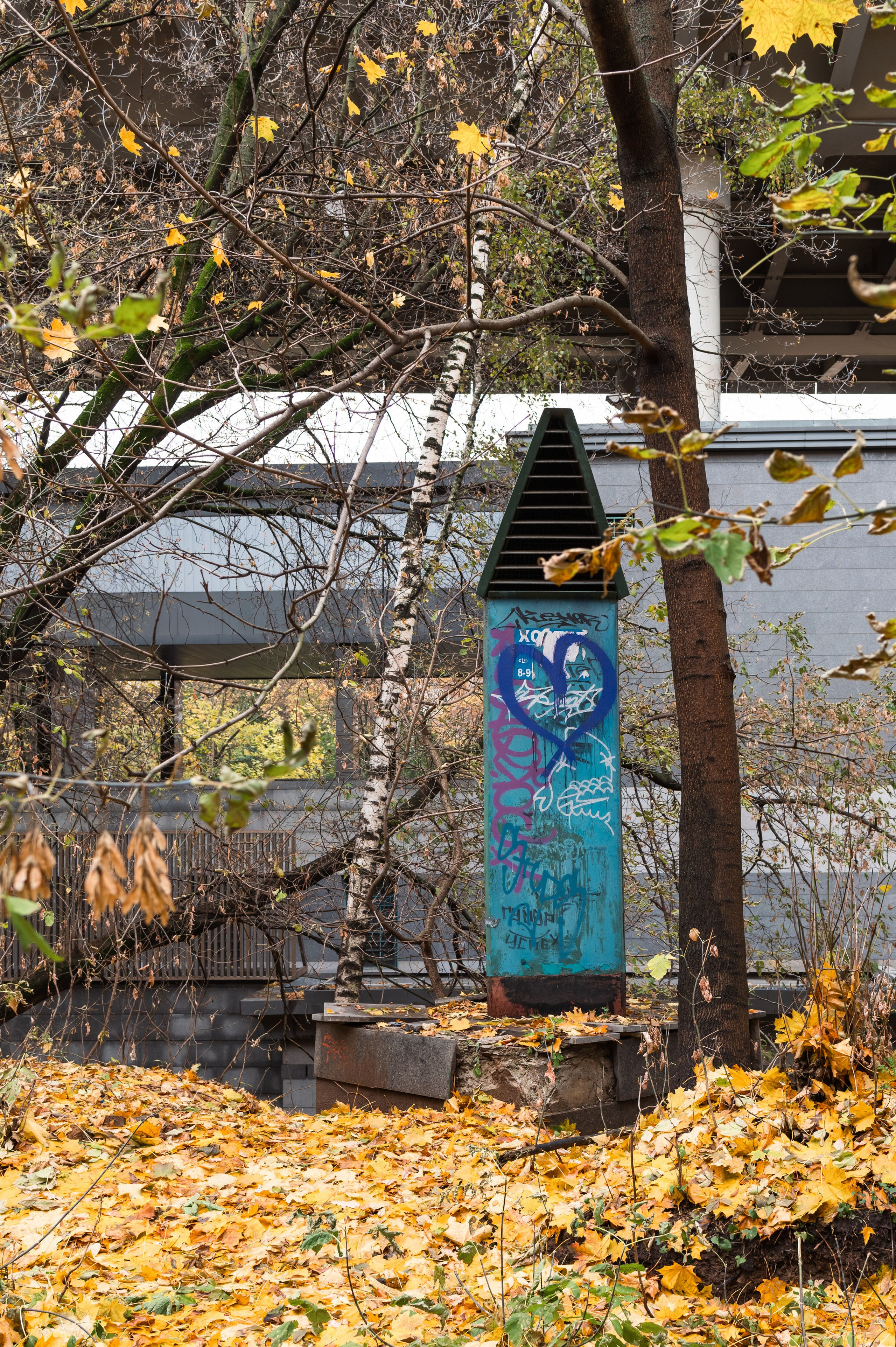 20231031 Нескучный сад. Дмитрий Ремизов. Фотография, как хобби