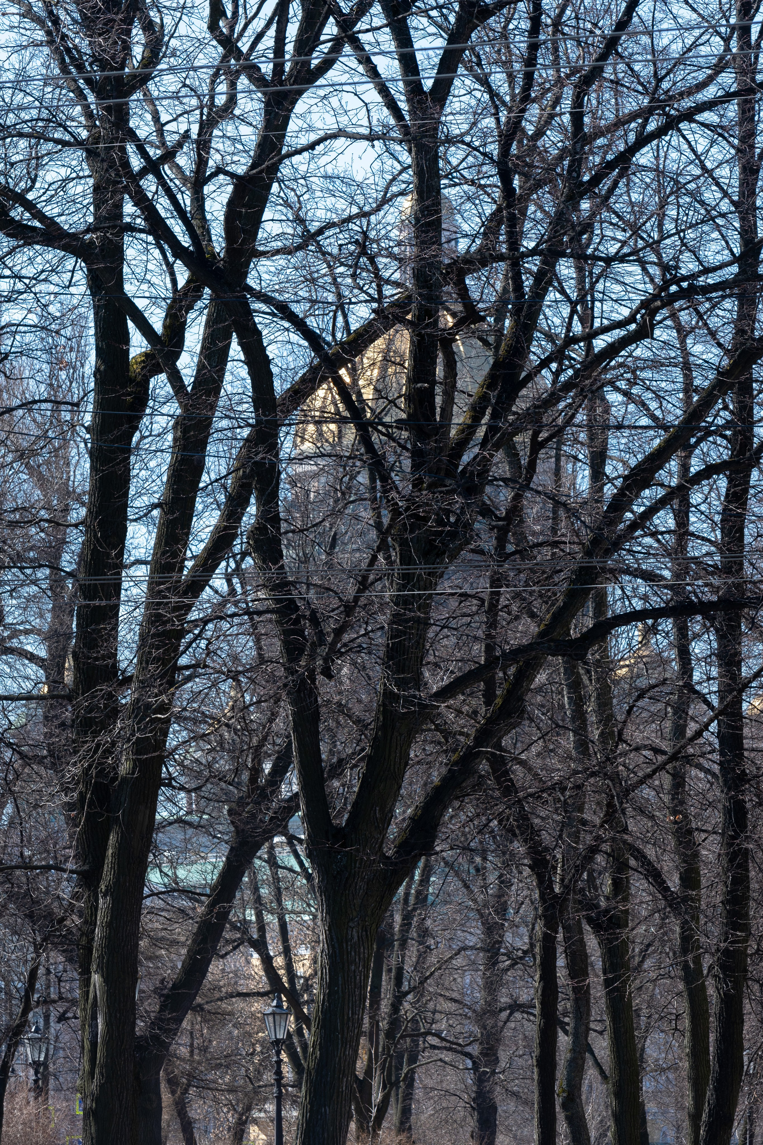 20220411-16 Санкт-Петербург. Дмитрий Ремизов. Фотография, как хобби