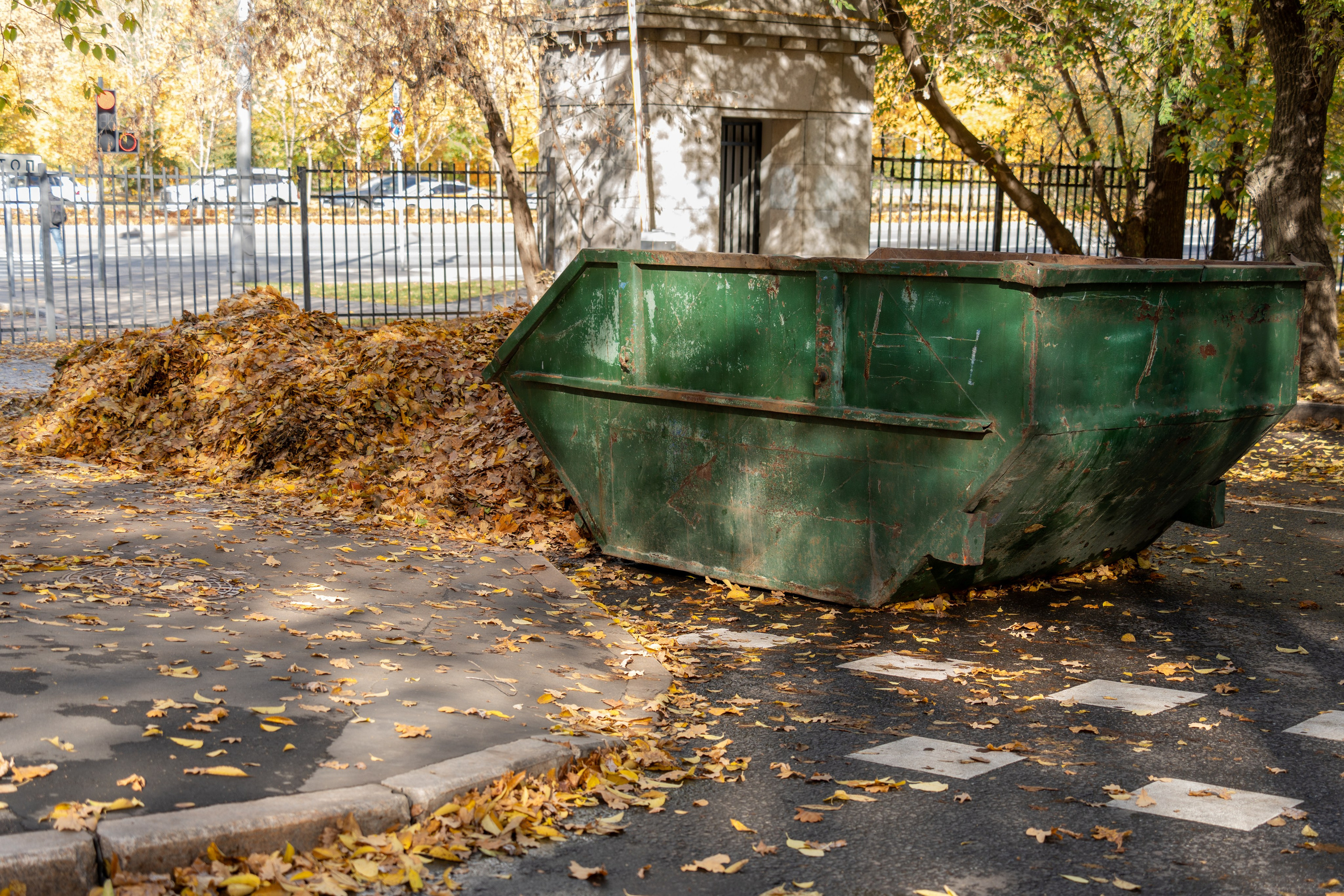 20251012 МГУ. Дмитрий Ремизов. Фотография, как хобби