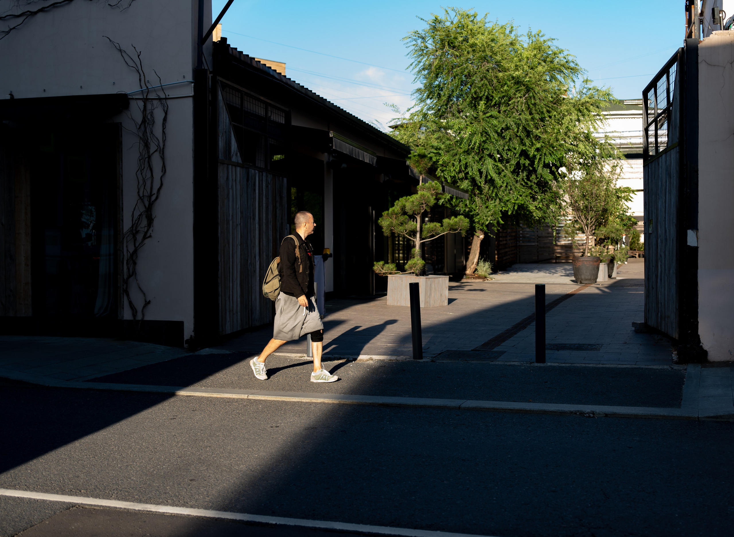 20250805 Баррикадная-Пушкинская. Дмитрий Ремизов. Фотография, как хобби