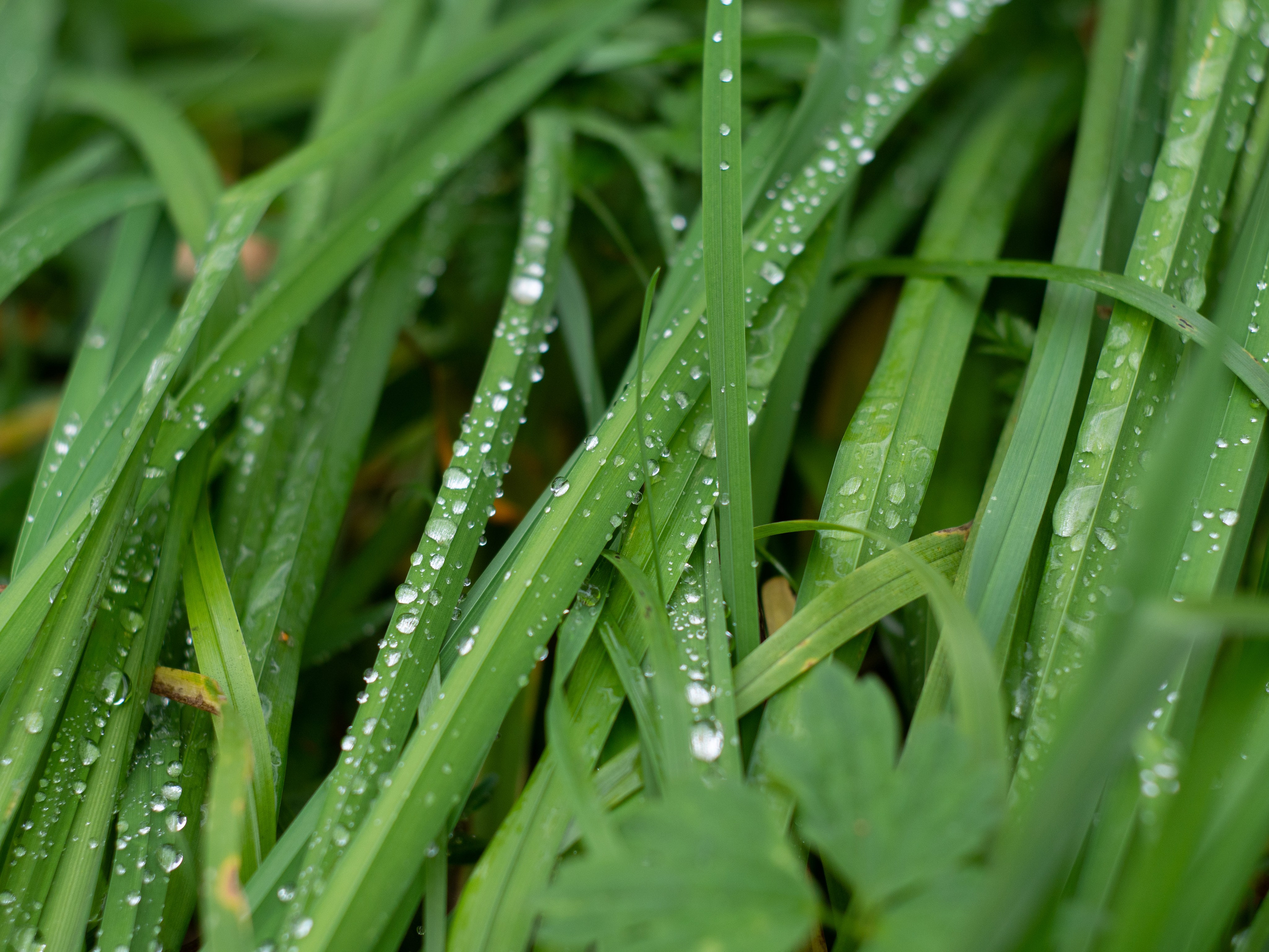 20230923-25 Родники. Дмитрий Ремизов. Фотография, как хобби