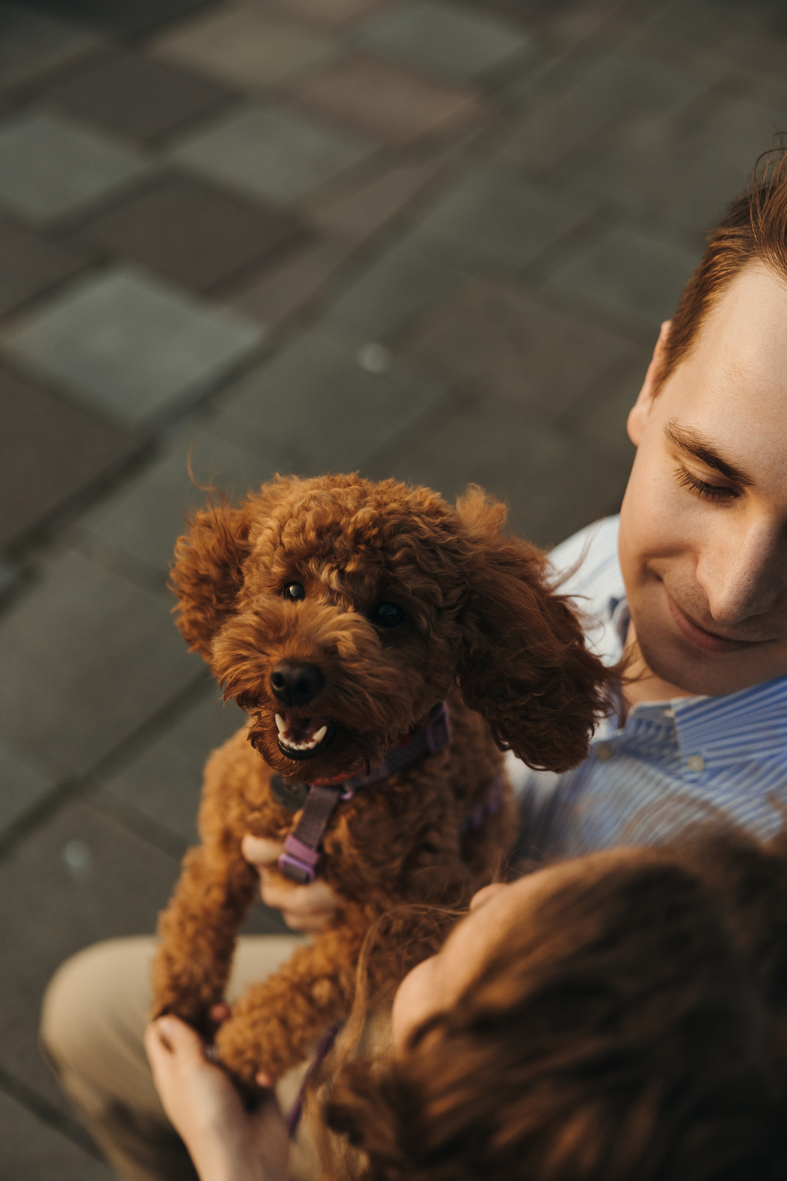 Надя и Федя. Свадебный фотограф Москва Анастасия Храмова