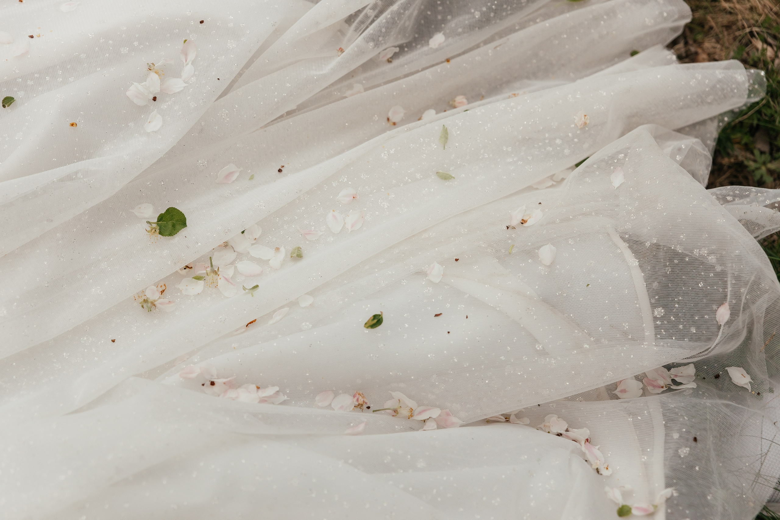 Вениамин и Валерия в Домбае. Миленина Юлия Свадебный и семейный фотограф в Краснодаре