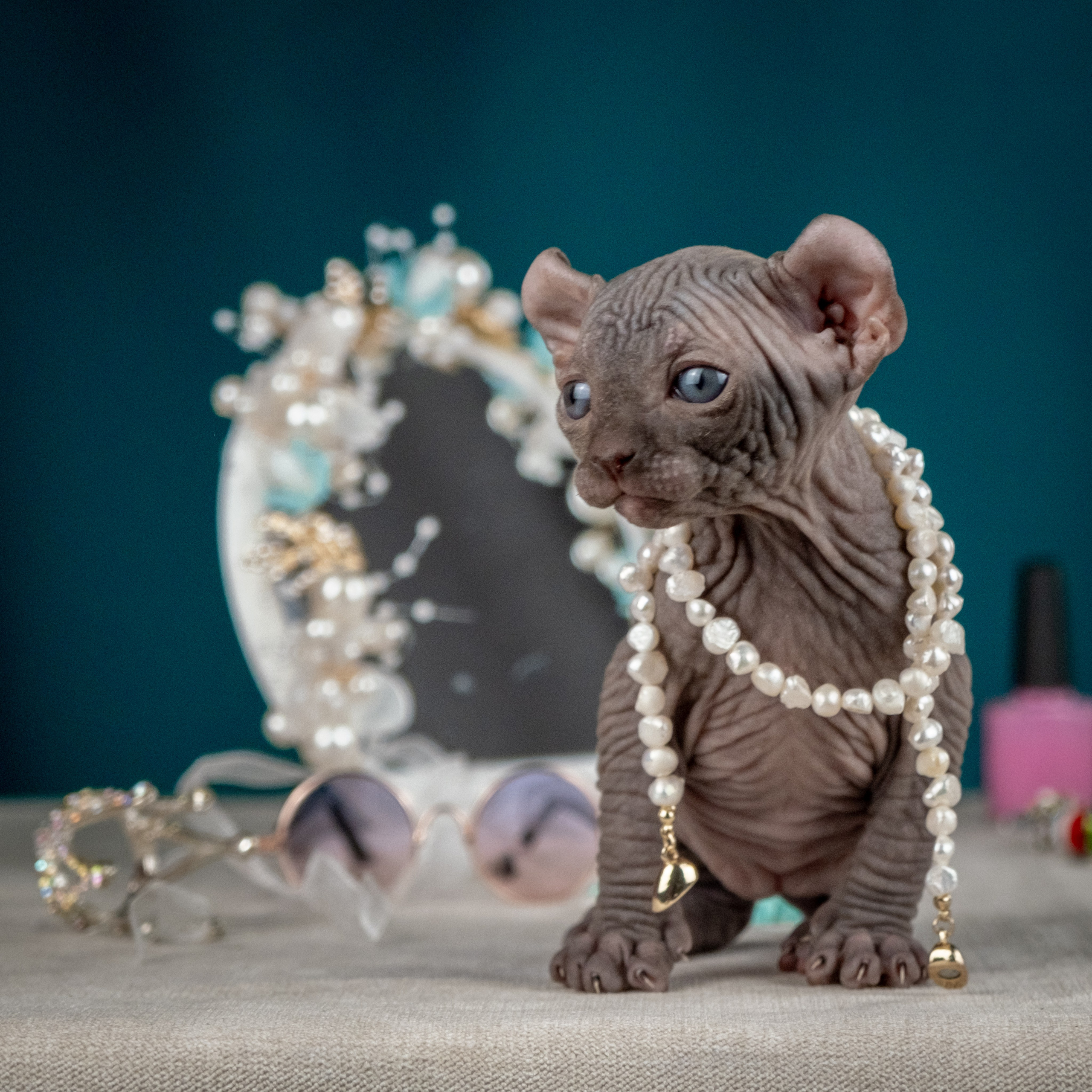 Невероятные сфинксы и эльфы для Ланы!. Зоофотограф, фотограф животных в Москве и области Дина Дамоцева