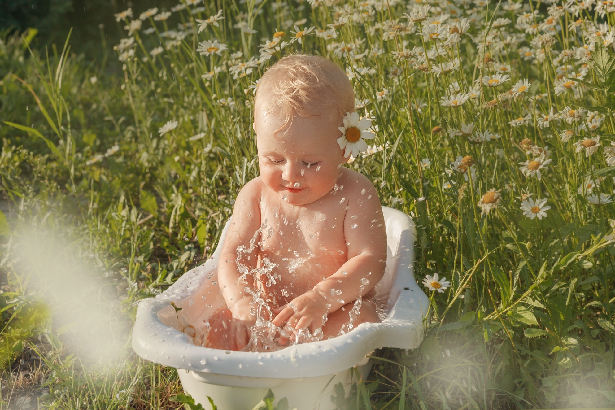 Ромашки. Детский и семейный фотограф в Бердске и Новосибирске Дарья Гребнева
