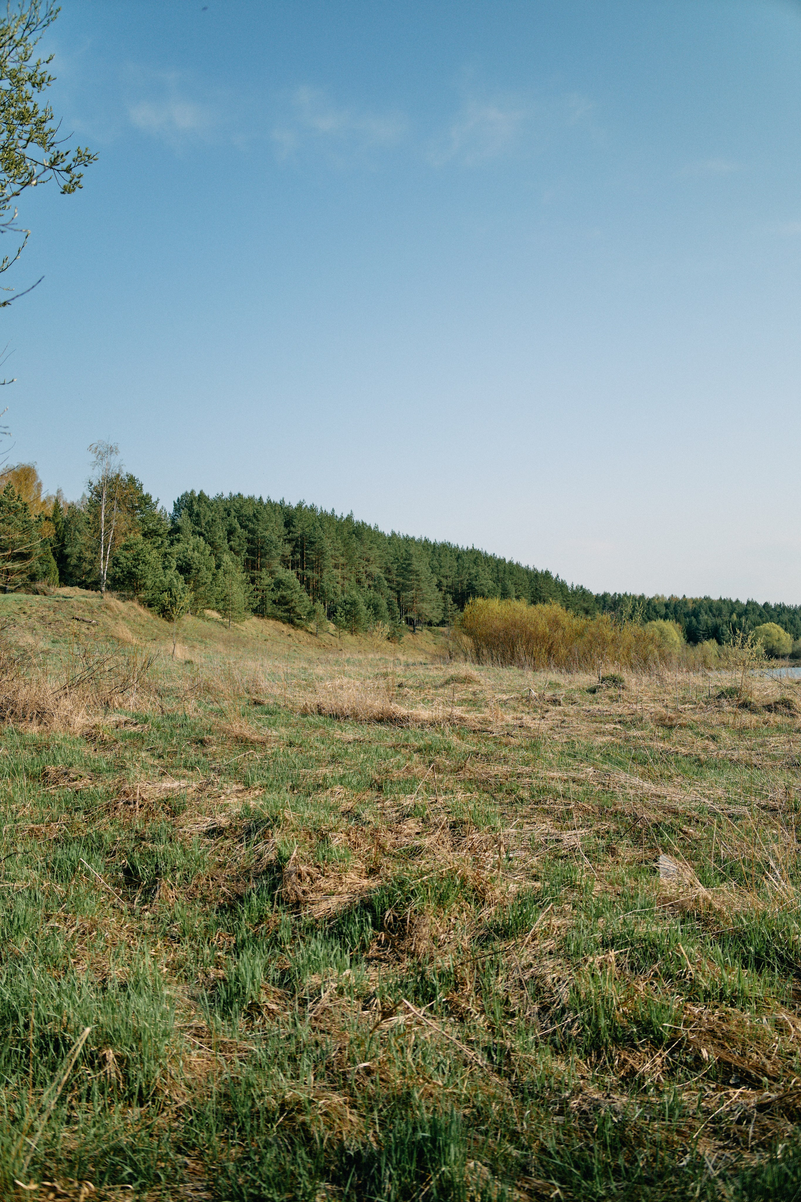 Бутик-отель Поле летом. Профессиональный Фотограф во Владимире, в Москве и в Суздале — Полина Романычева