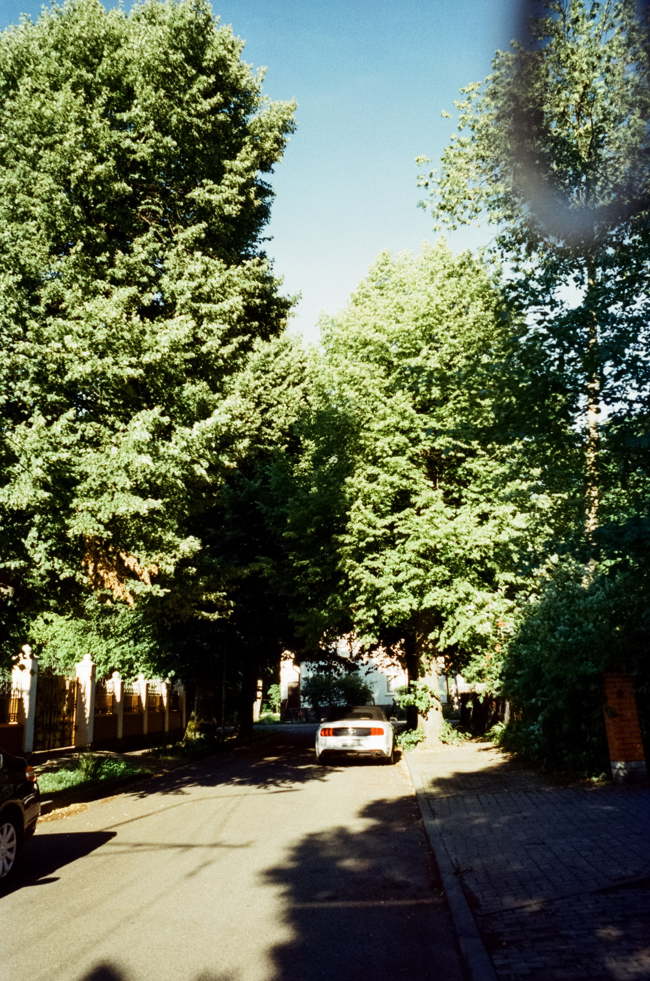 Прогулка от Площади Победы к Amalienau в golden hour. Фотограф-документалист Мария Осокина