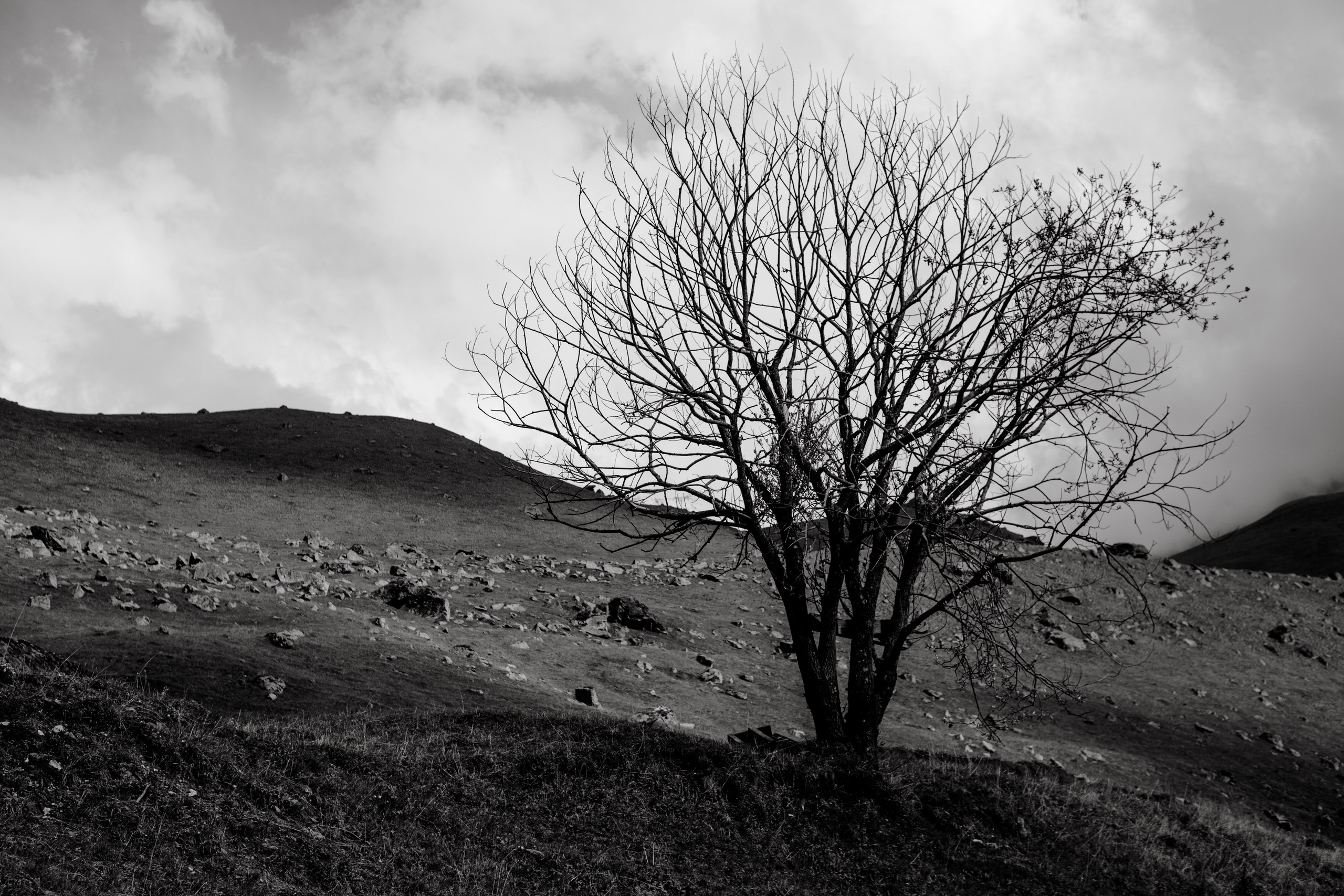 EXHIBITION. Репортажный и интерьерный фотограф, фотохудожник