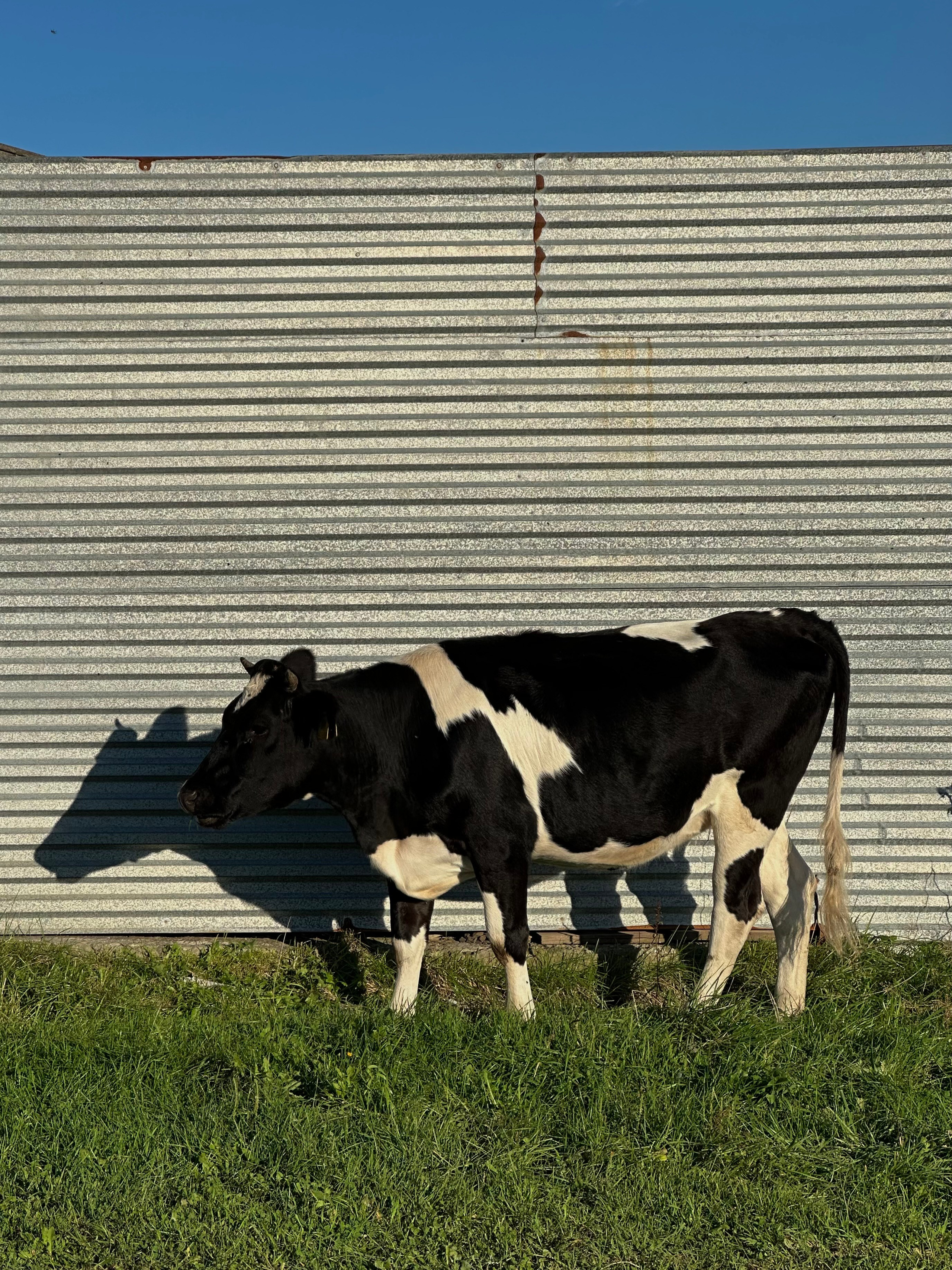 EXHIBITION. Репортажный и интерьерный фотограф, фотохудожник