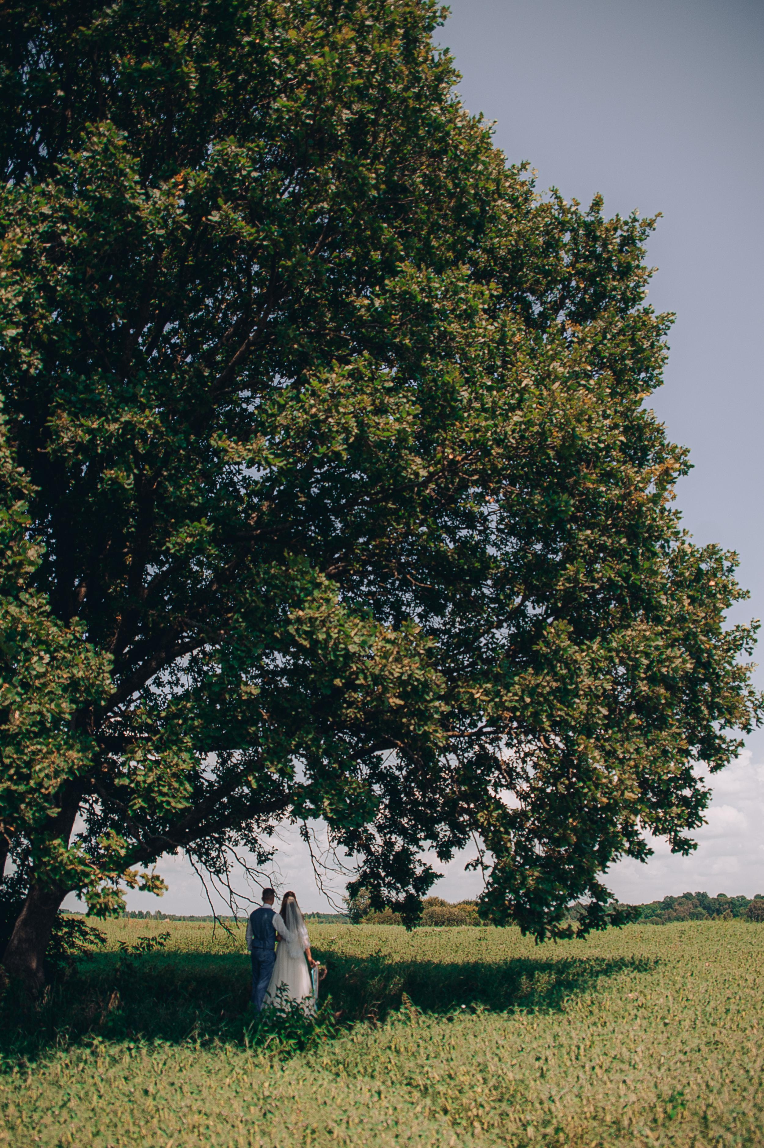 Максим и Валерия 17.07.2021. Свадебный и семейный фотограф в городе Смоленске