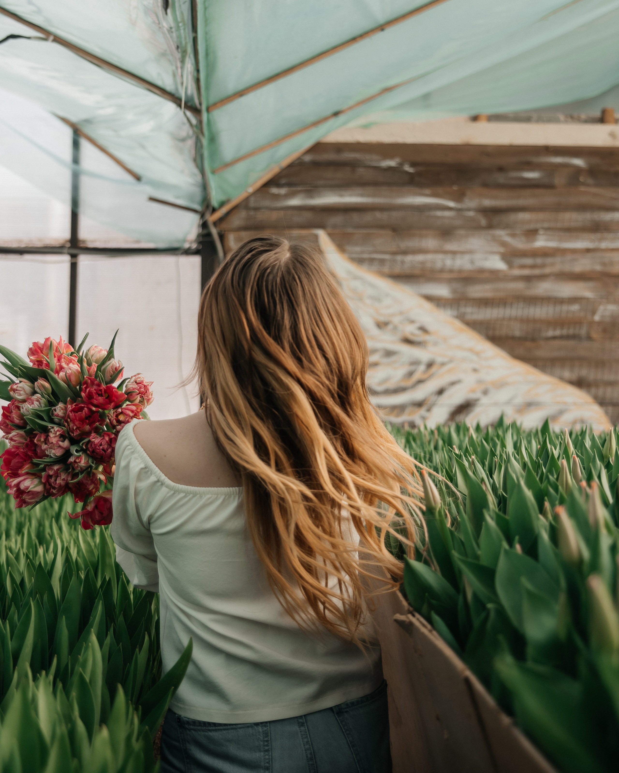 Фотосессия в тюльпанах. Свадебный и семейный фотограф в городе Смоленске