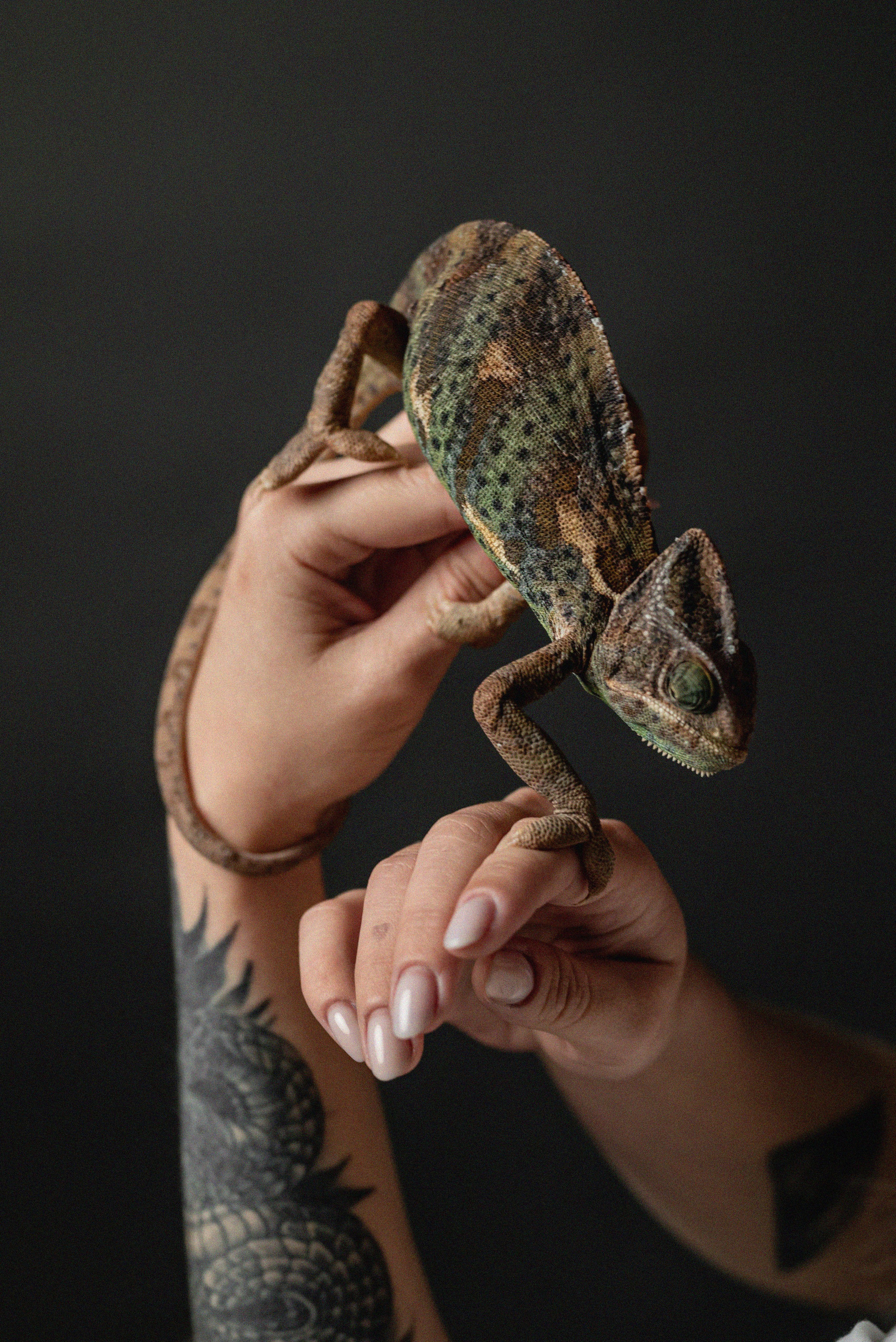 Кристина. Фотограф в городе Салават