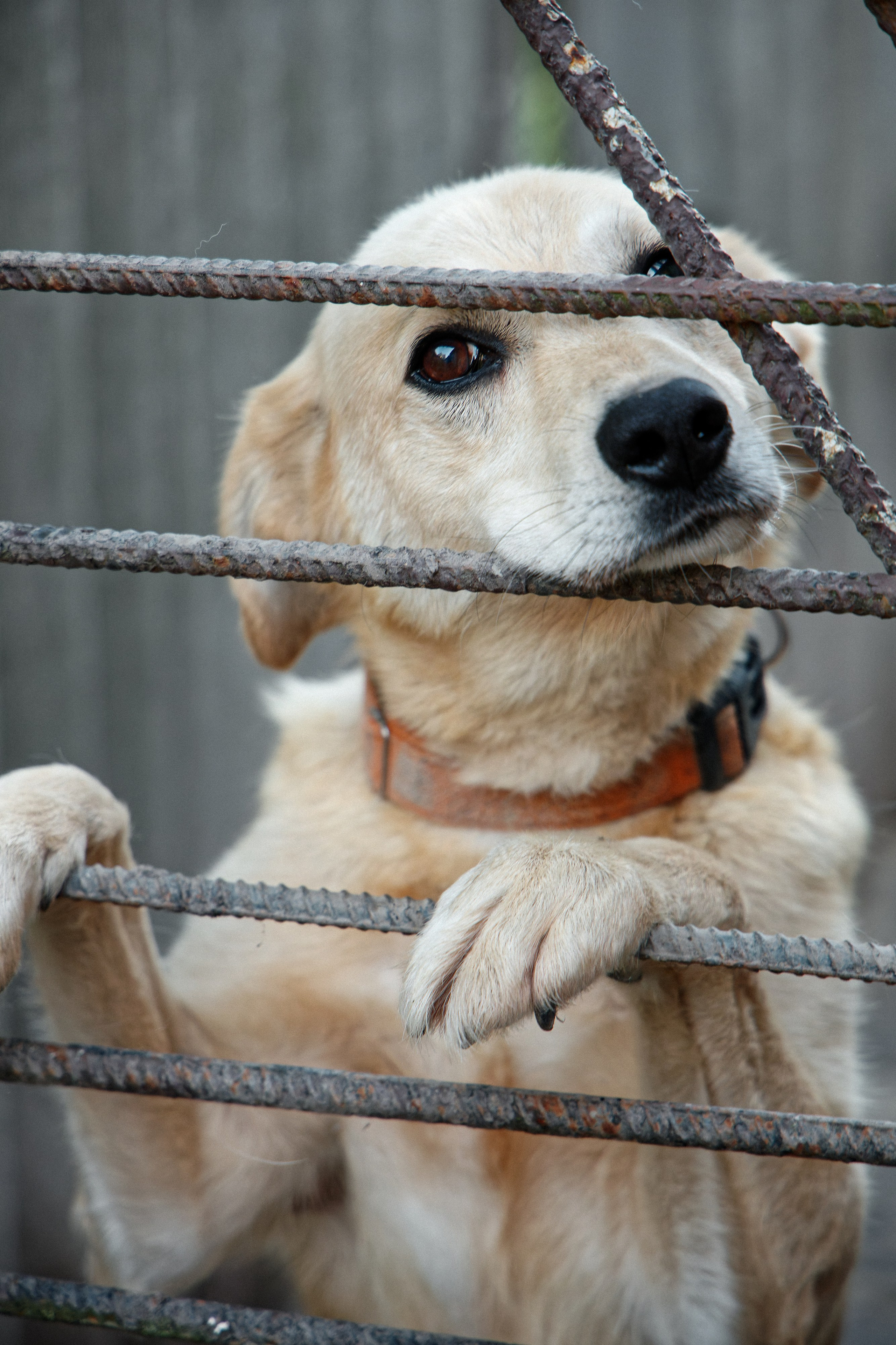 Семья Даниловых. Семейный фотограф — Макс Белогрудов
