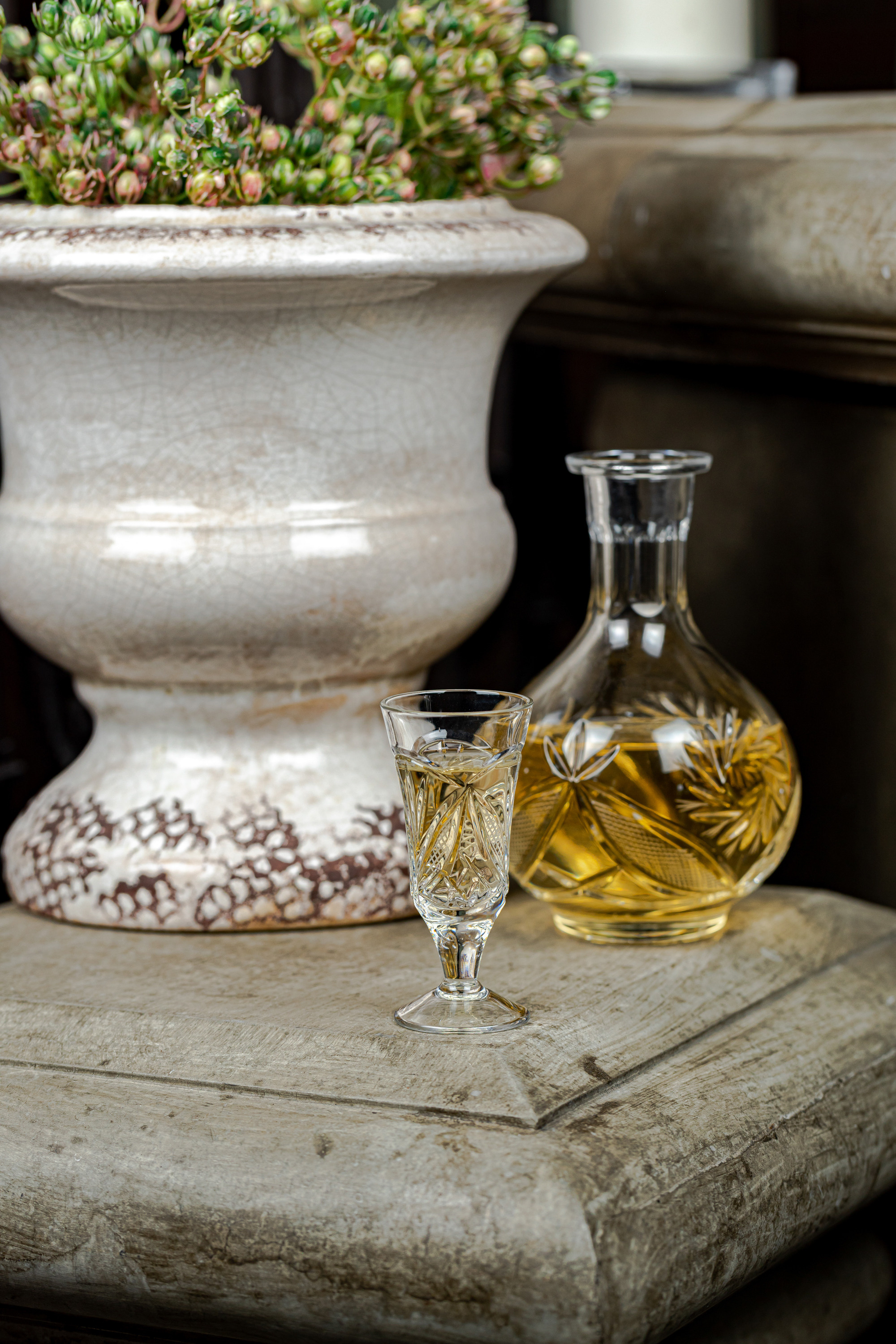 Общество Сытыхъ