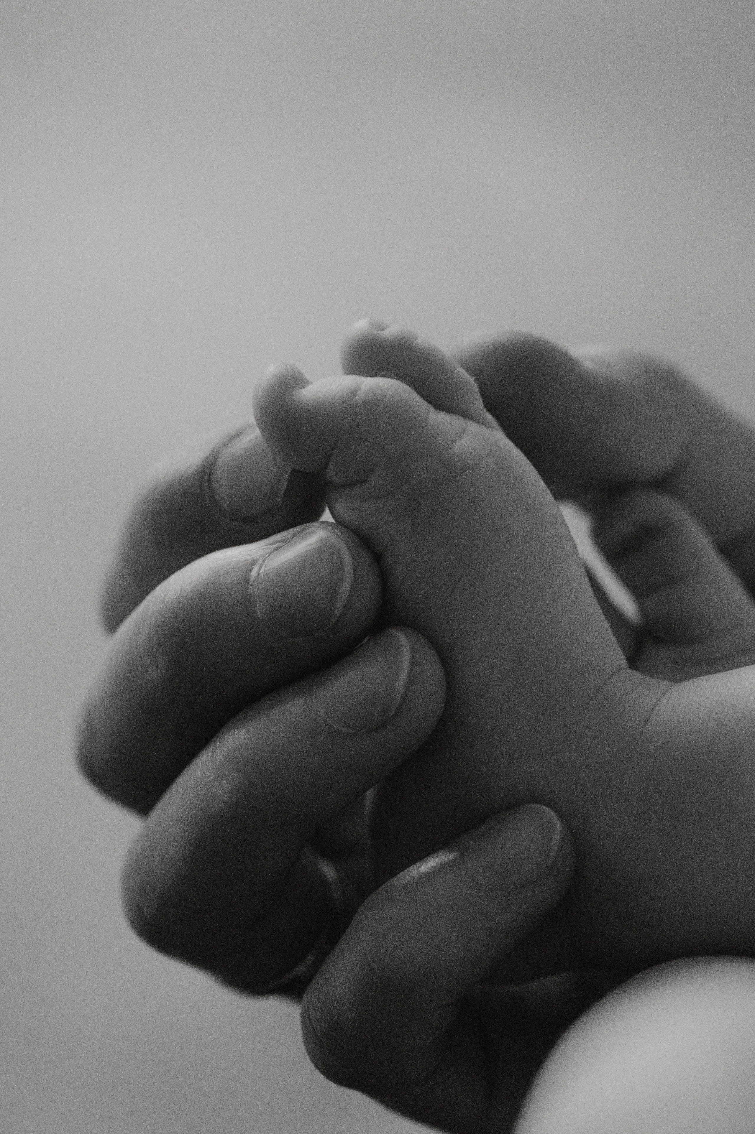 Семейная домашняя фотосессия. Профессиональный фотограф беременности в СПБ. Стильные фотосессии беременности в стиле минимализм и классическая фотография