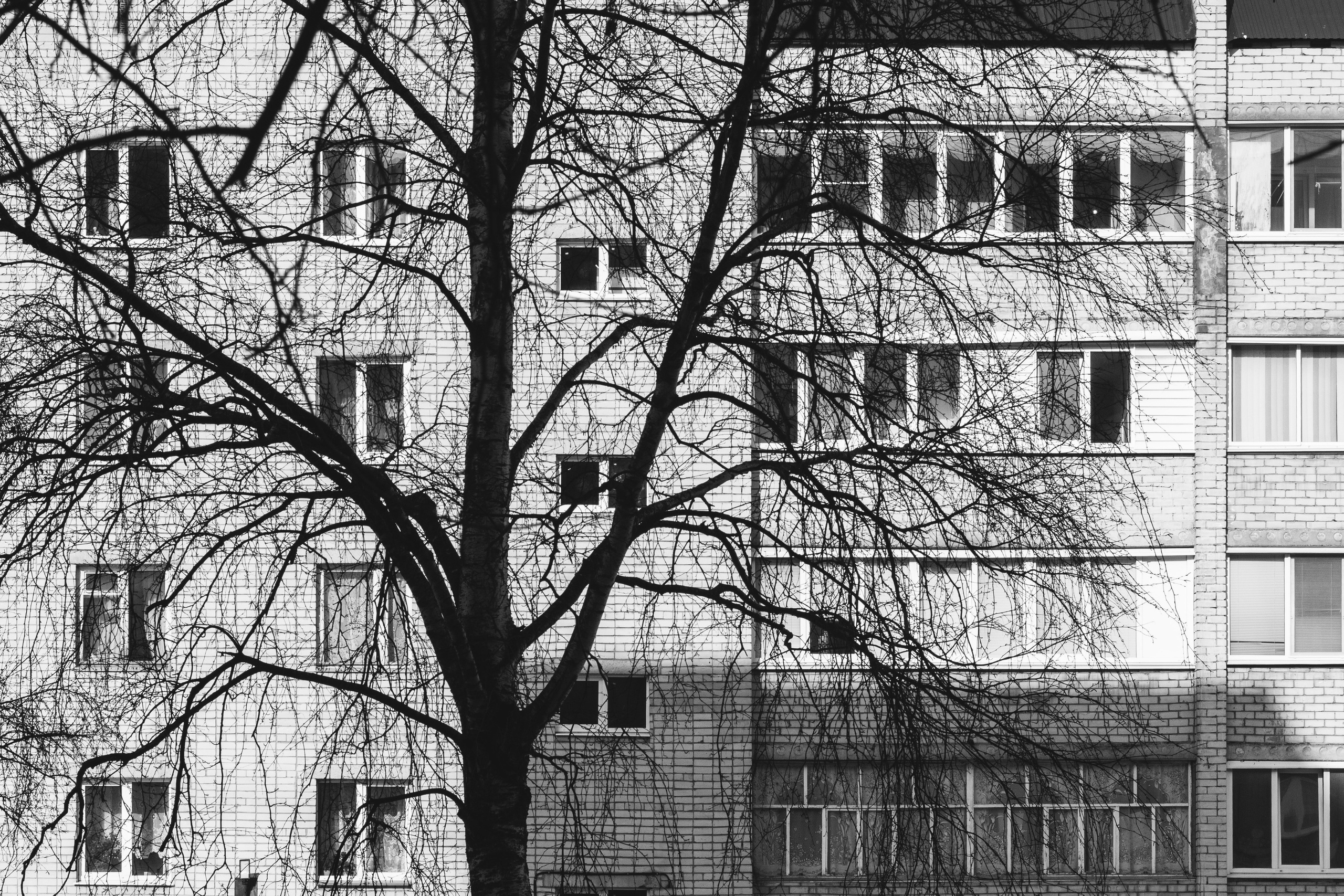 Родные узоры. Россия. Олег Романов. Мастер фото по спорту