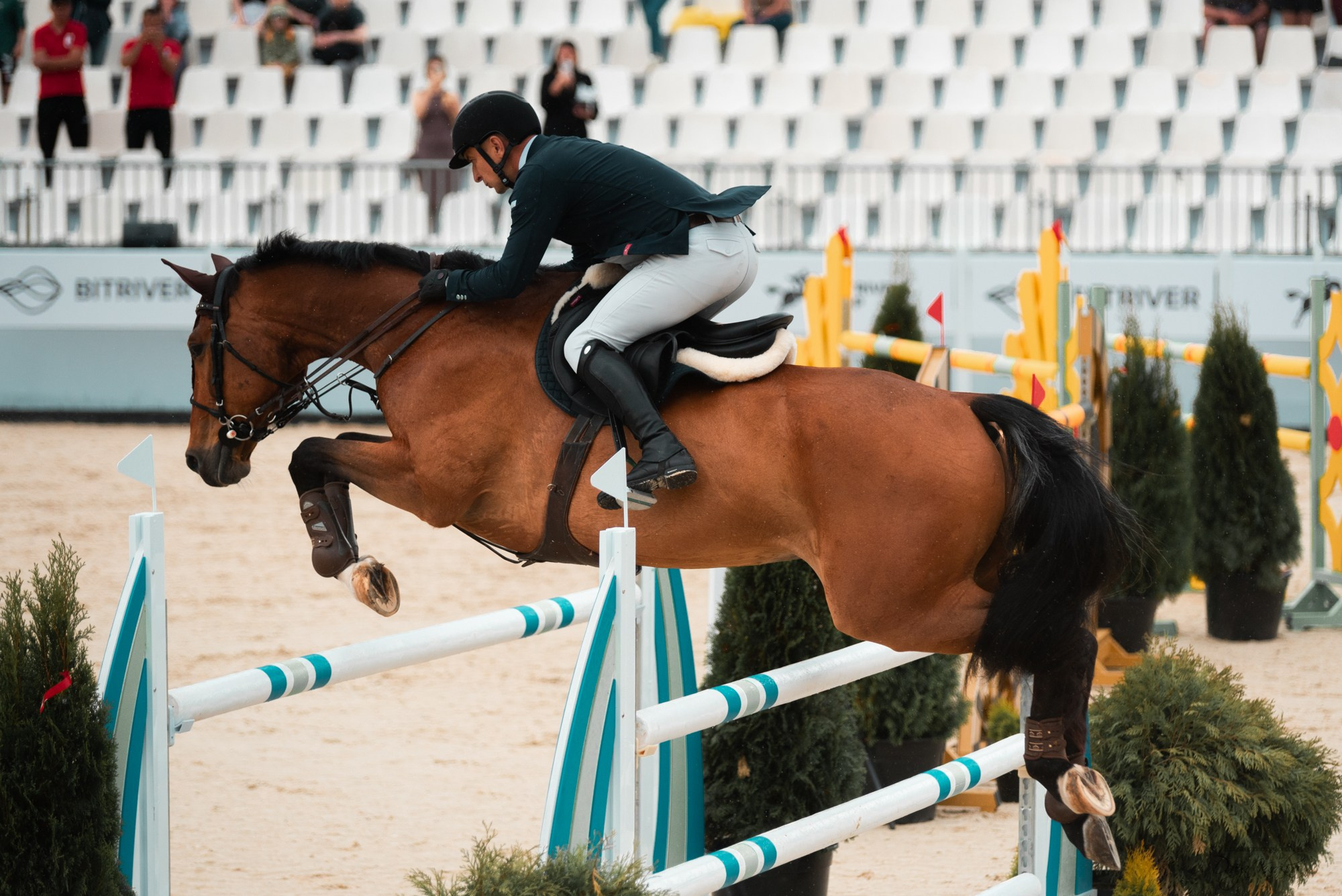 BITRIVER CUP 2023. Конный фотограф Куракина Дарья • Фотосессии с лошадьми