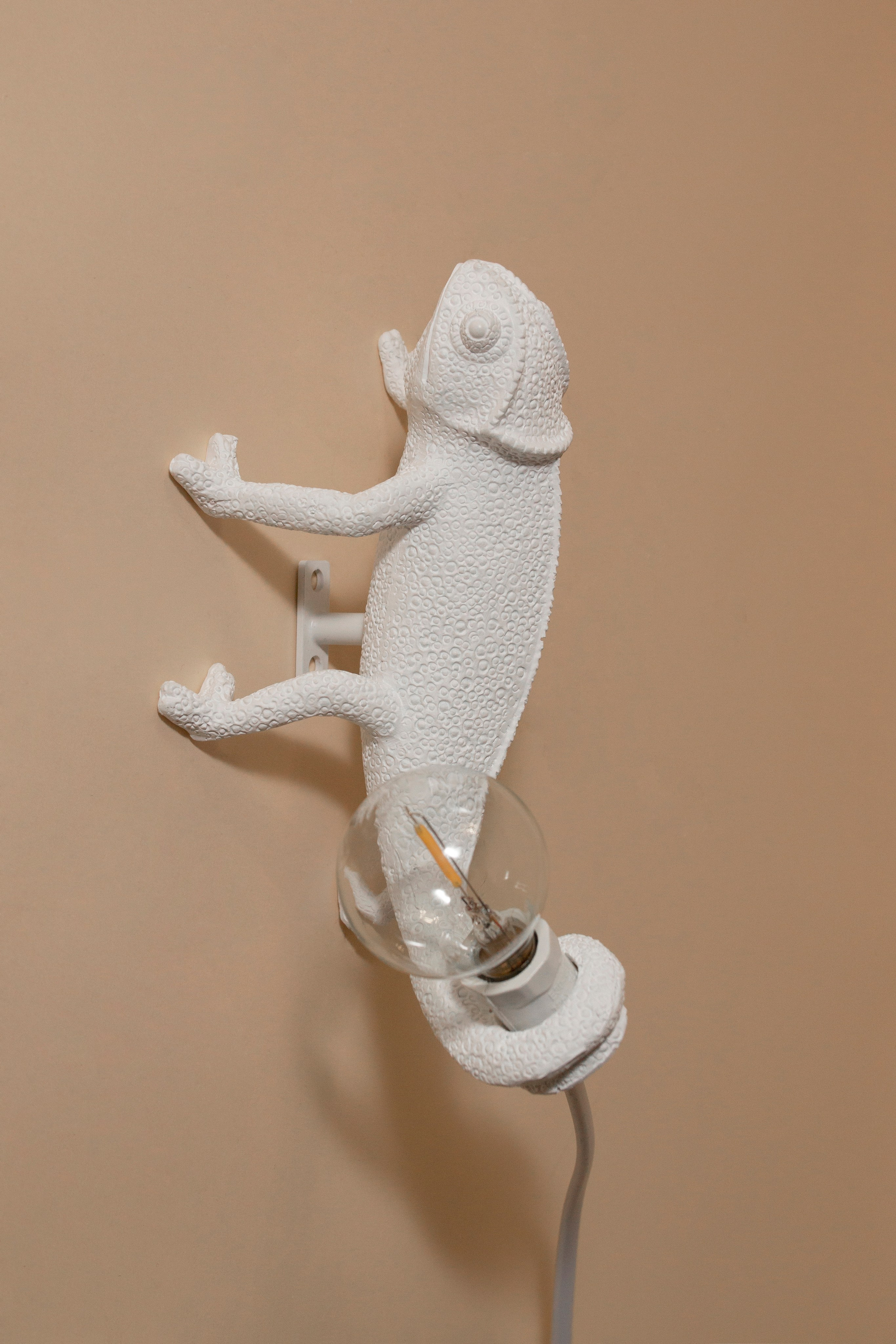 Предметная фотография. Фотограф Злата Спицына