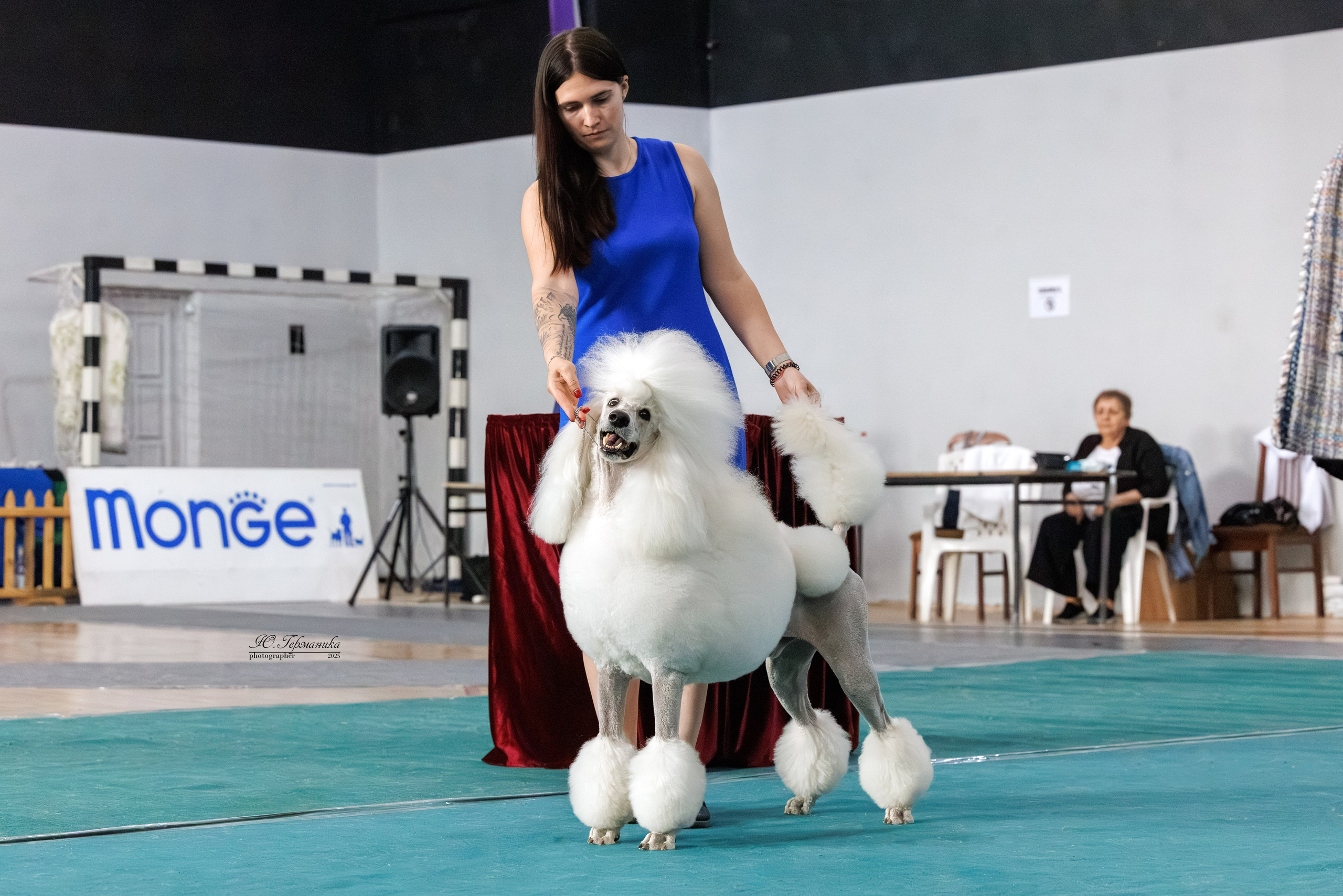 Ереван 2х CACIB 29-30.04.2025. Фотограф-анималист Юлия Германика